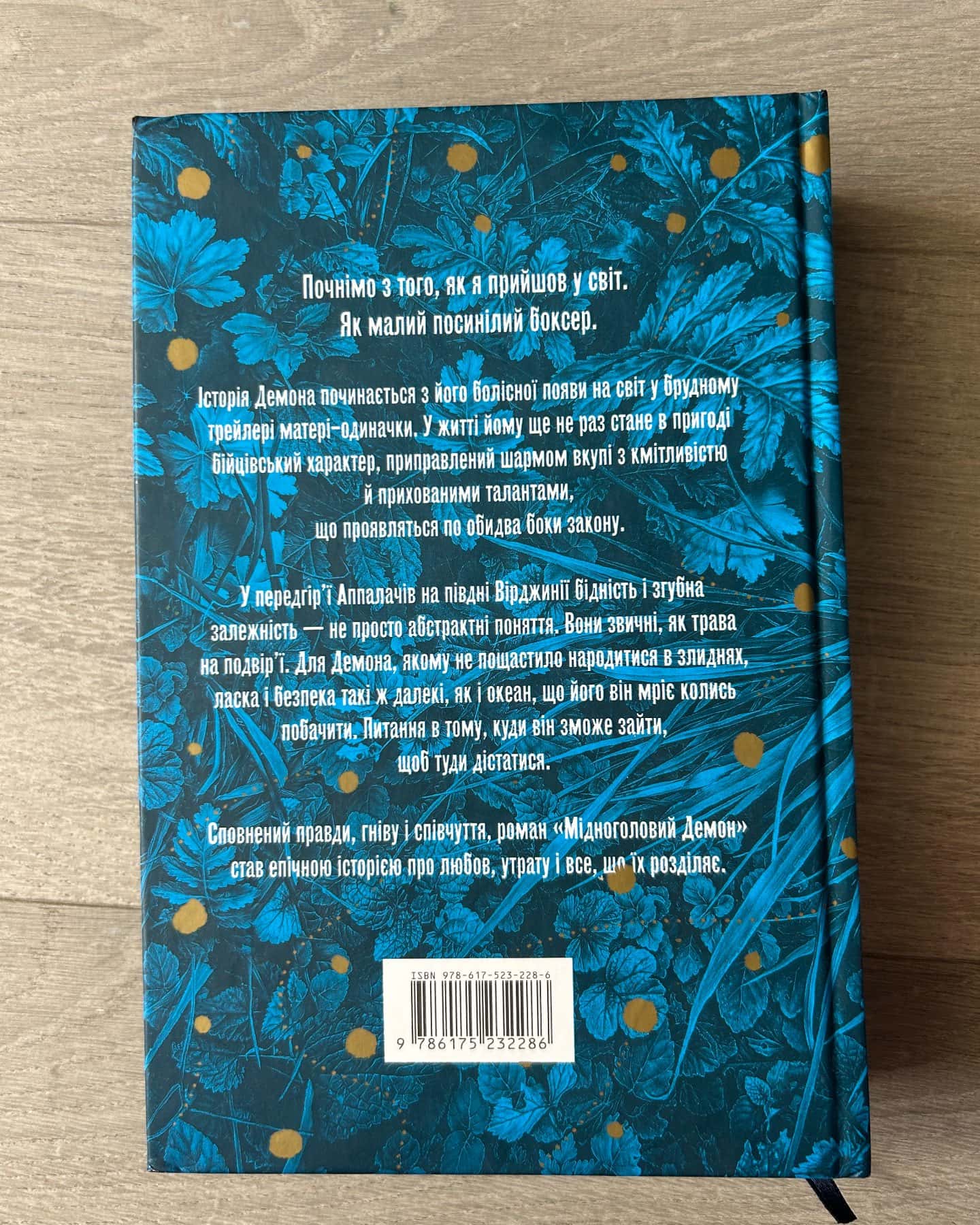 Мідноголовий демон (Limited edition) — Барбара Кінґсолвер