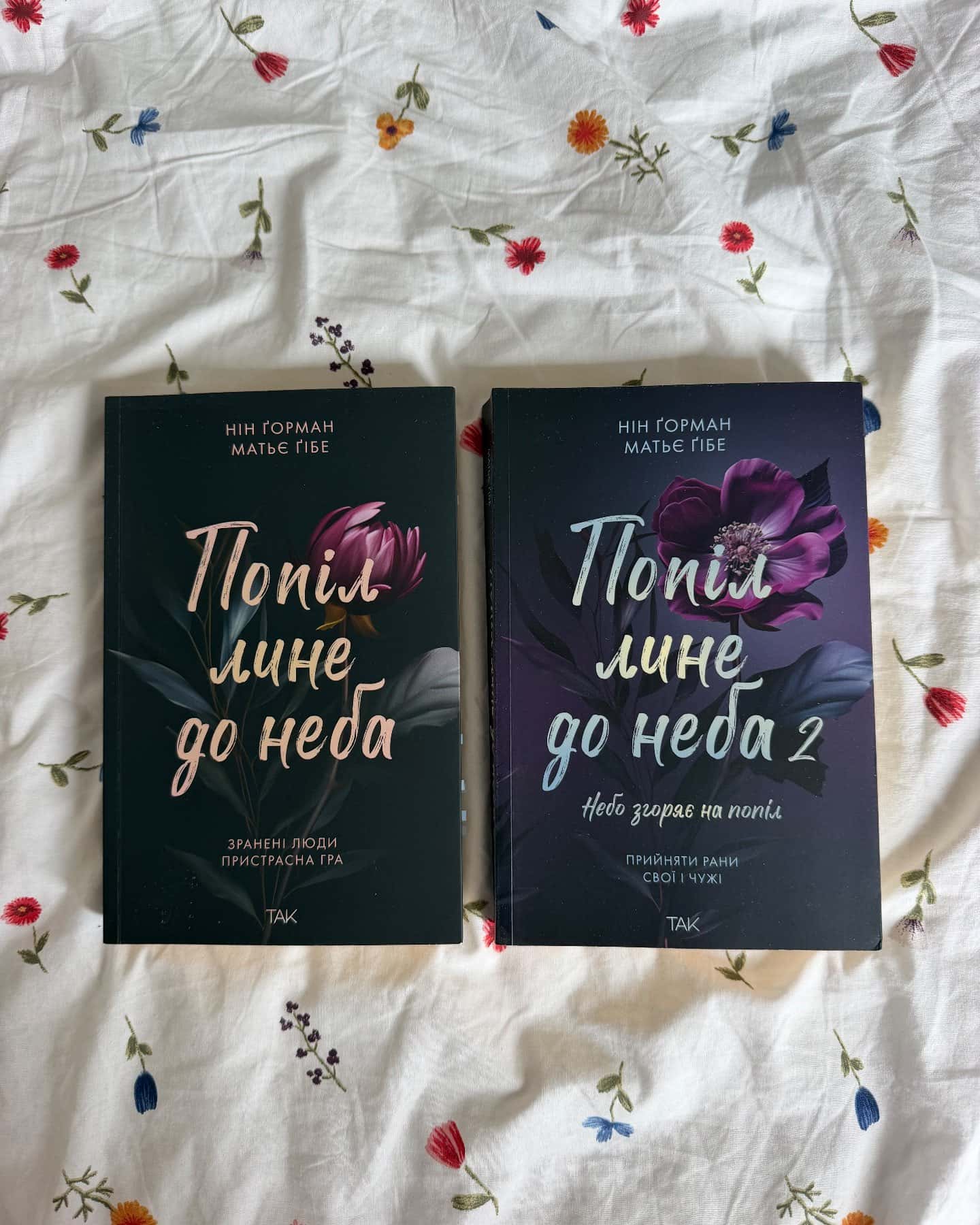 Попіл лине до неба. Том 1, Попіл лине до неба. Том 2 — Матьє Ґібе, Нін Ґорман