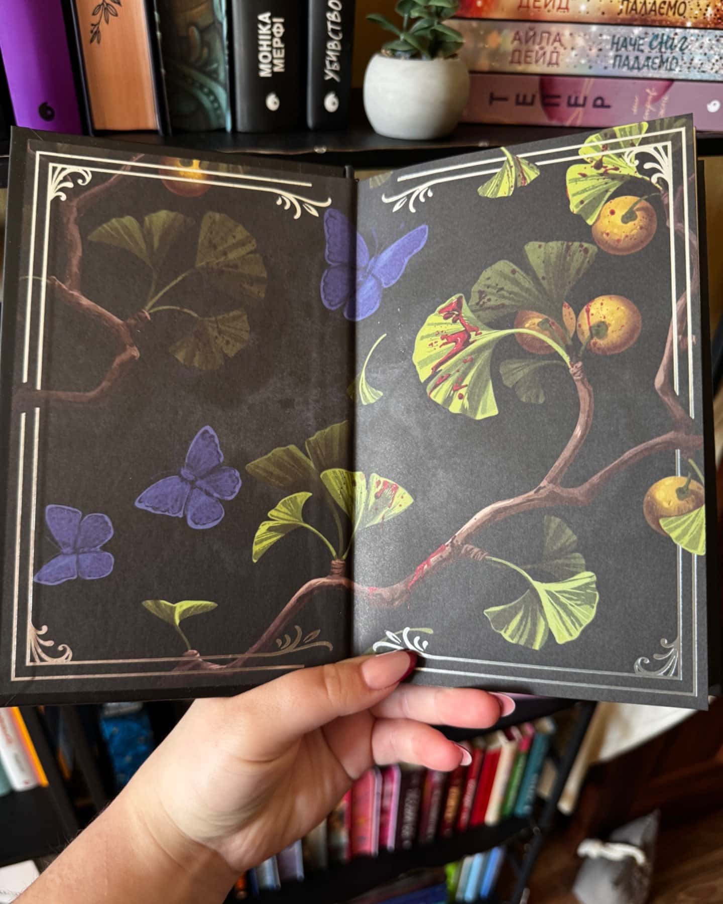 Боги мого краю дуже люблять кров-Євгенія Кужавська