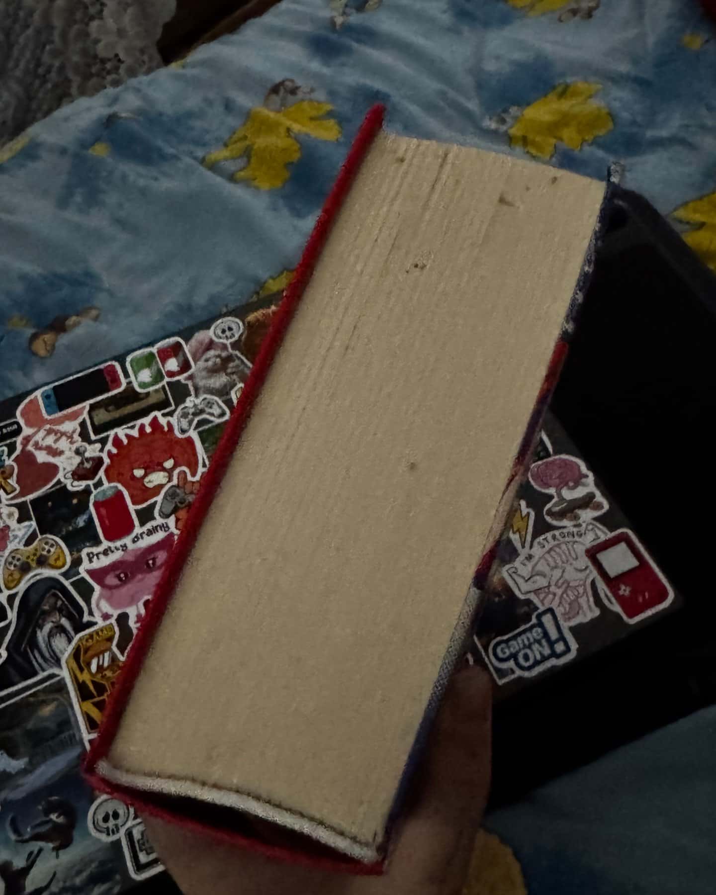 Зникнення Стефані Мейлер-Жоель Діккер