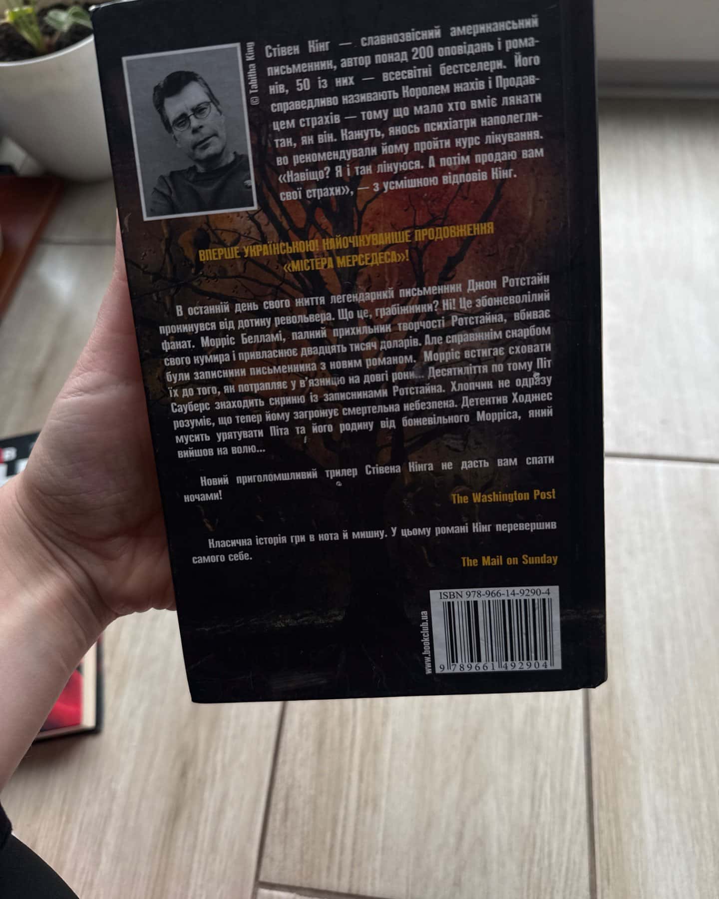 Що впало, те пропало-Стівен Кінг