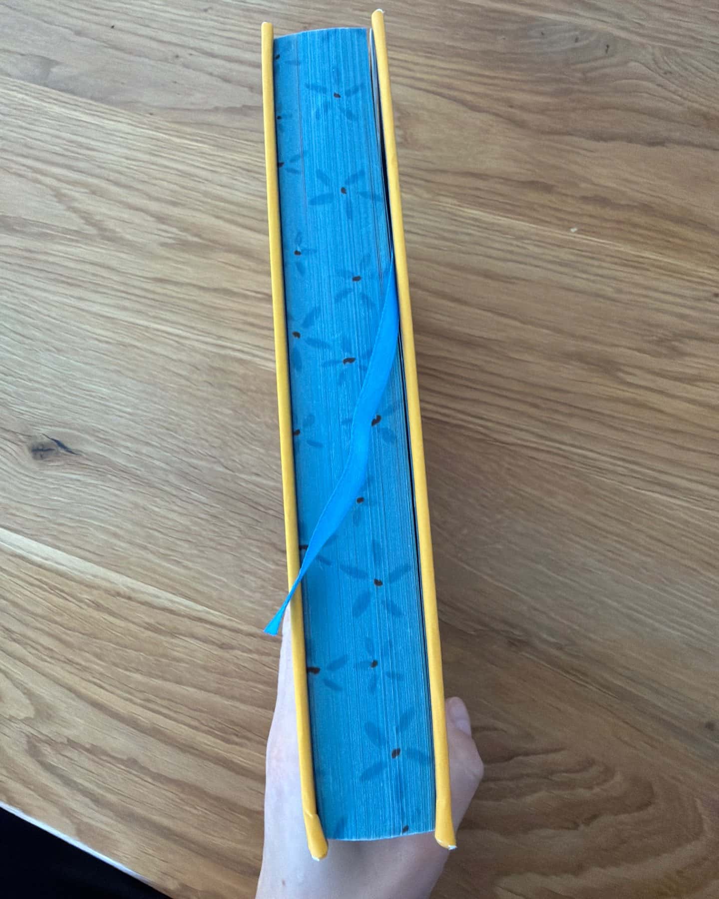 Пляжне чтиво-Емілі Генрі