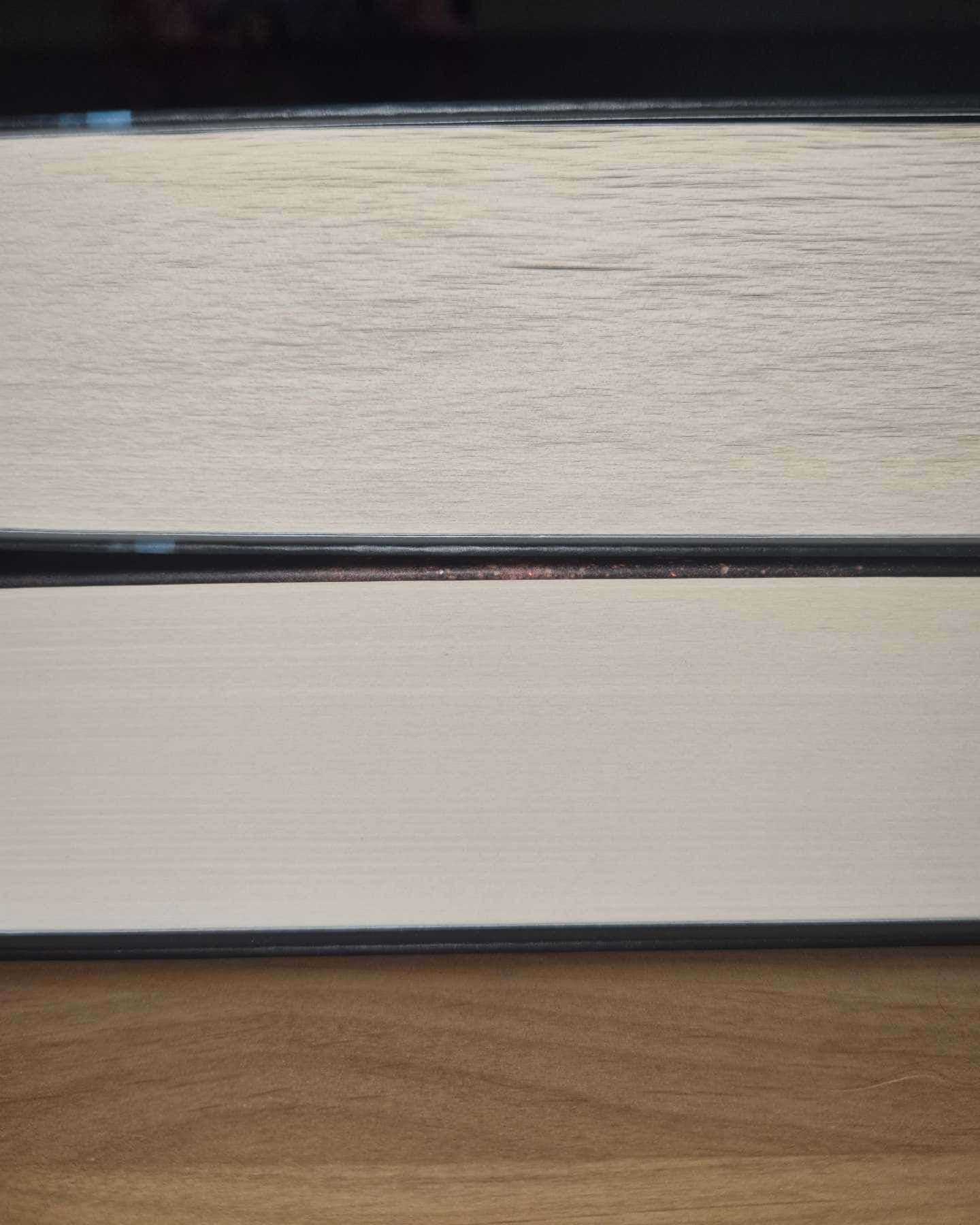 Захопити Тринадцятого. Книга 1, Вберегти Тринадцятого. Книга 2 — Хлої Волш