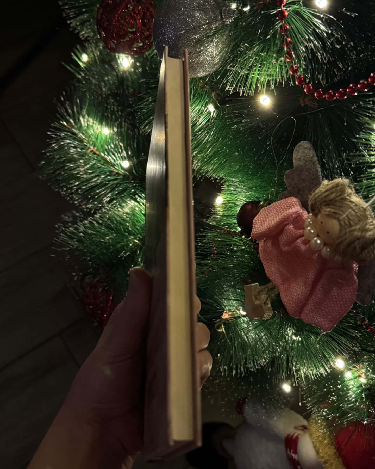 Багряний колір вічності-Наталія Гурницька