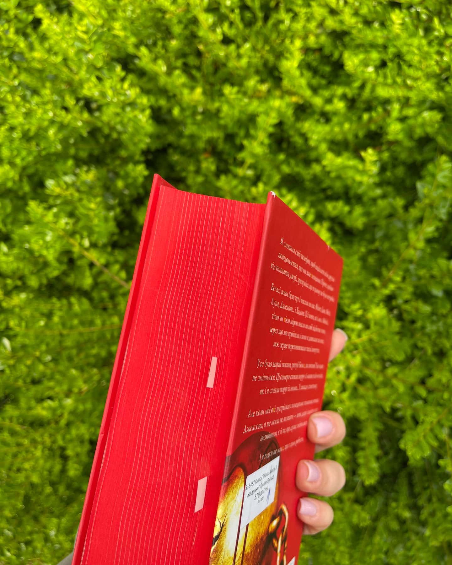 Жага. Книга 3. Жадання-Трейсі Вульф