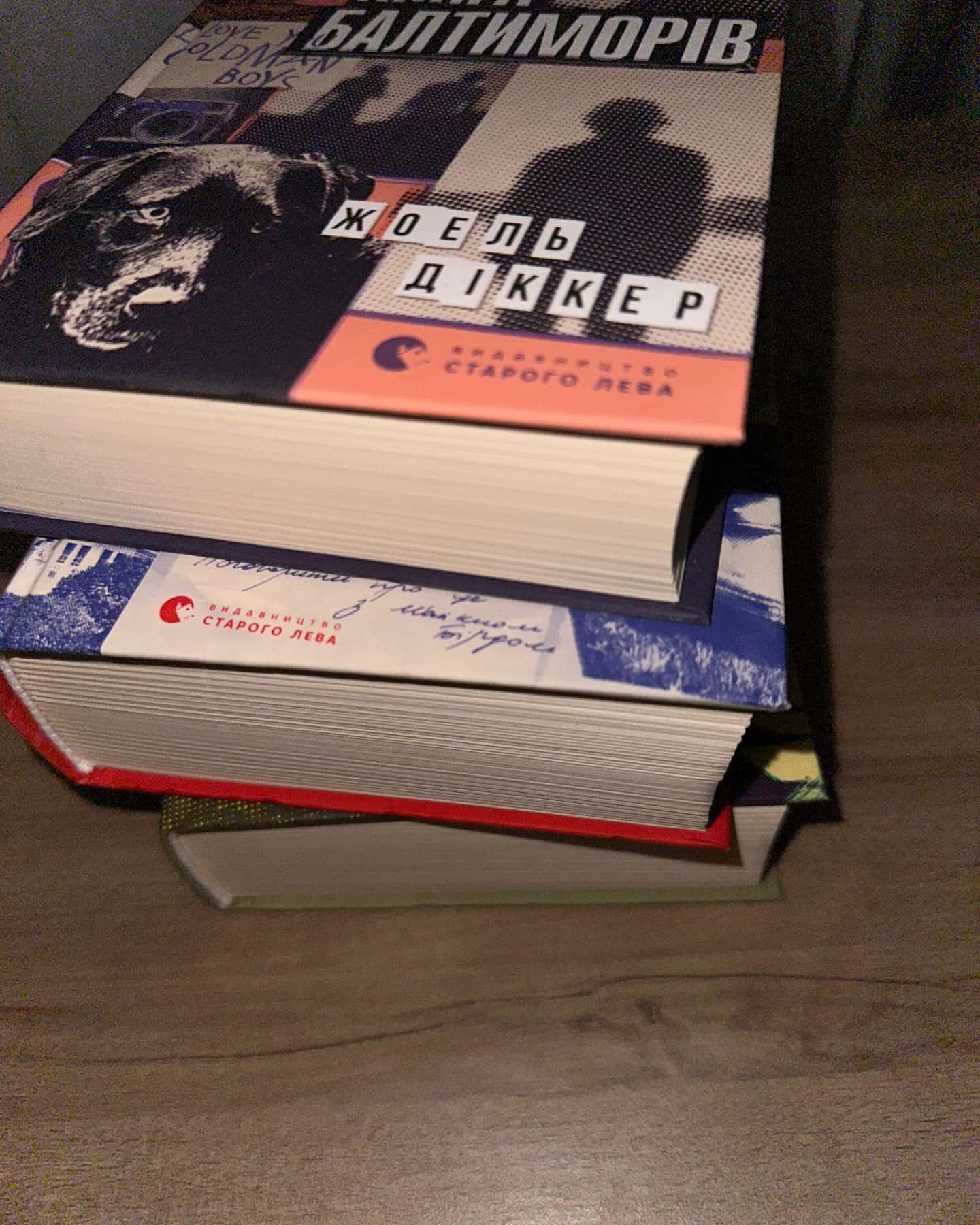 Книга Балтиморів, Зникнення Стефані Мейлер, Правда про справу Гаррі Квеберта — Жоель Діккер