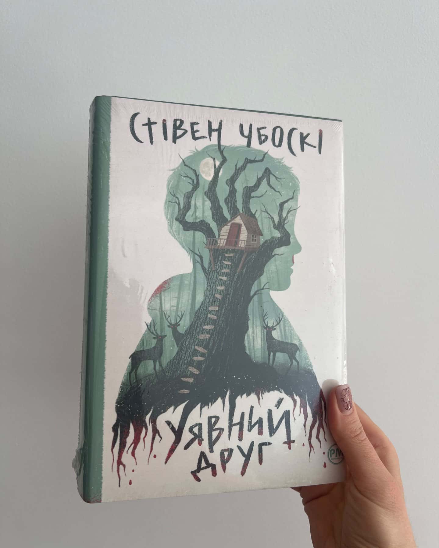 Уявний друг-Стівен Чбоскі