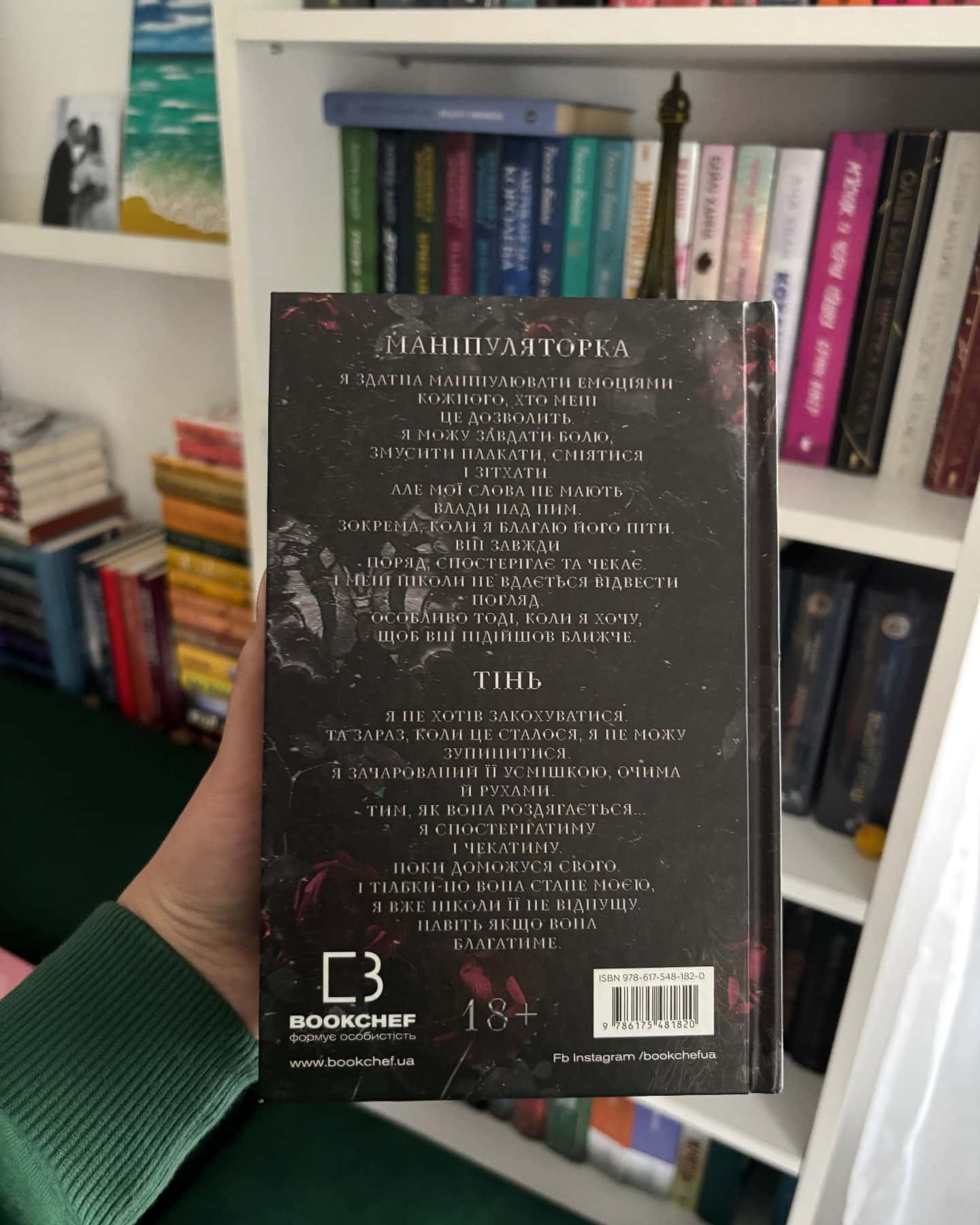 Переслідування Аделіни. Гра в кота і мишу. Книга 1 — Г. Д. Карлтон