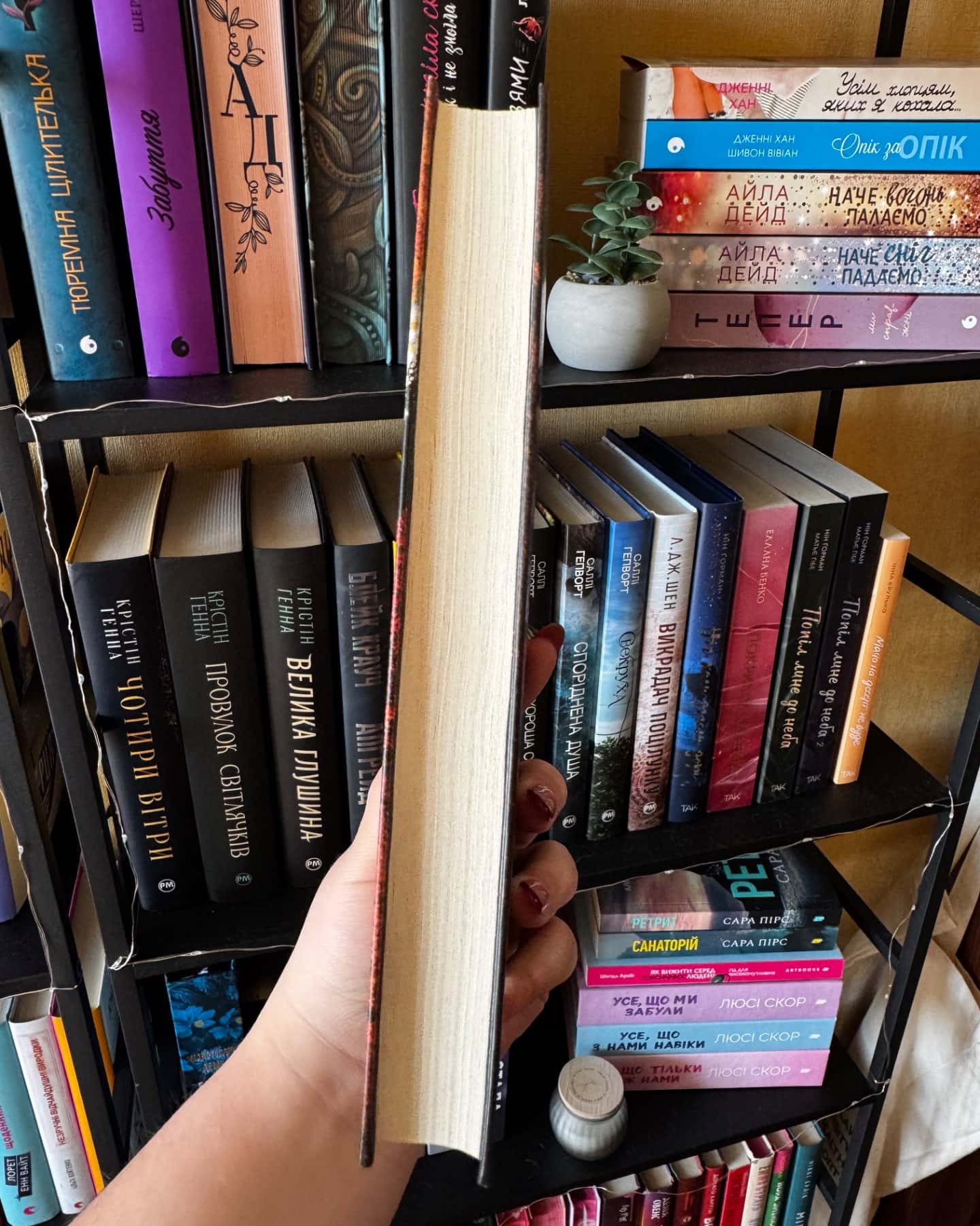 Аномалія-Андрій Новік