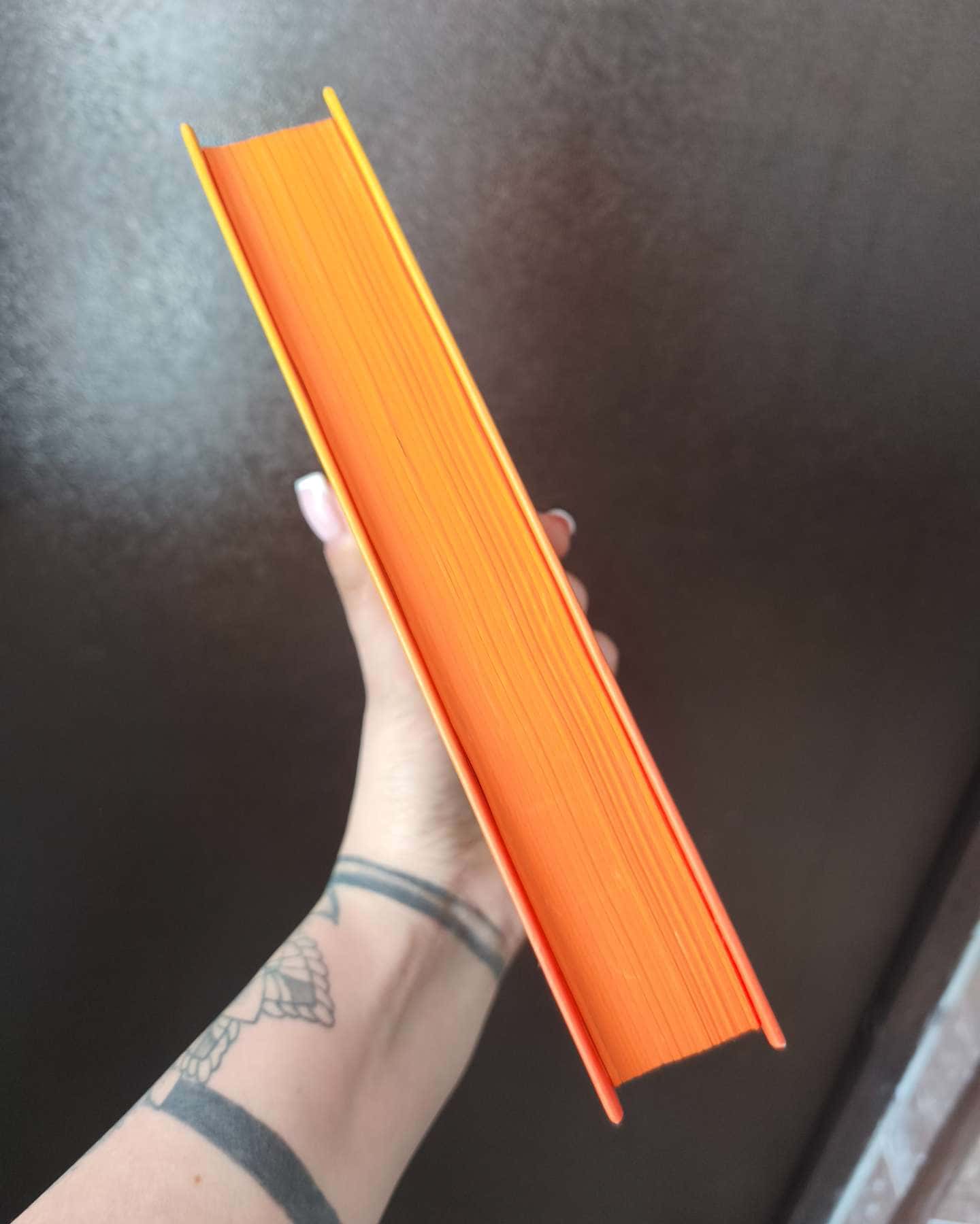 Єдина вціліла-Райлі Сейгер