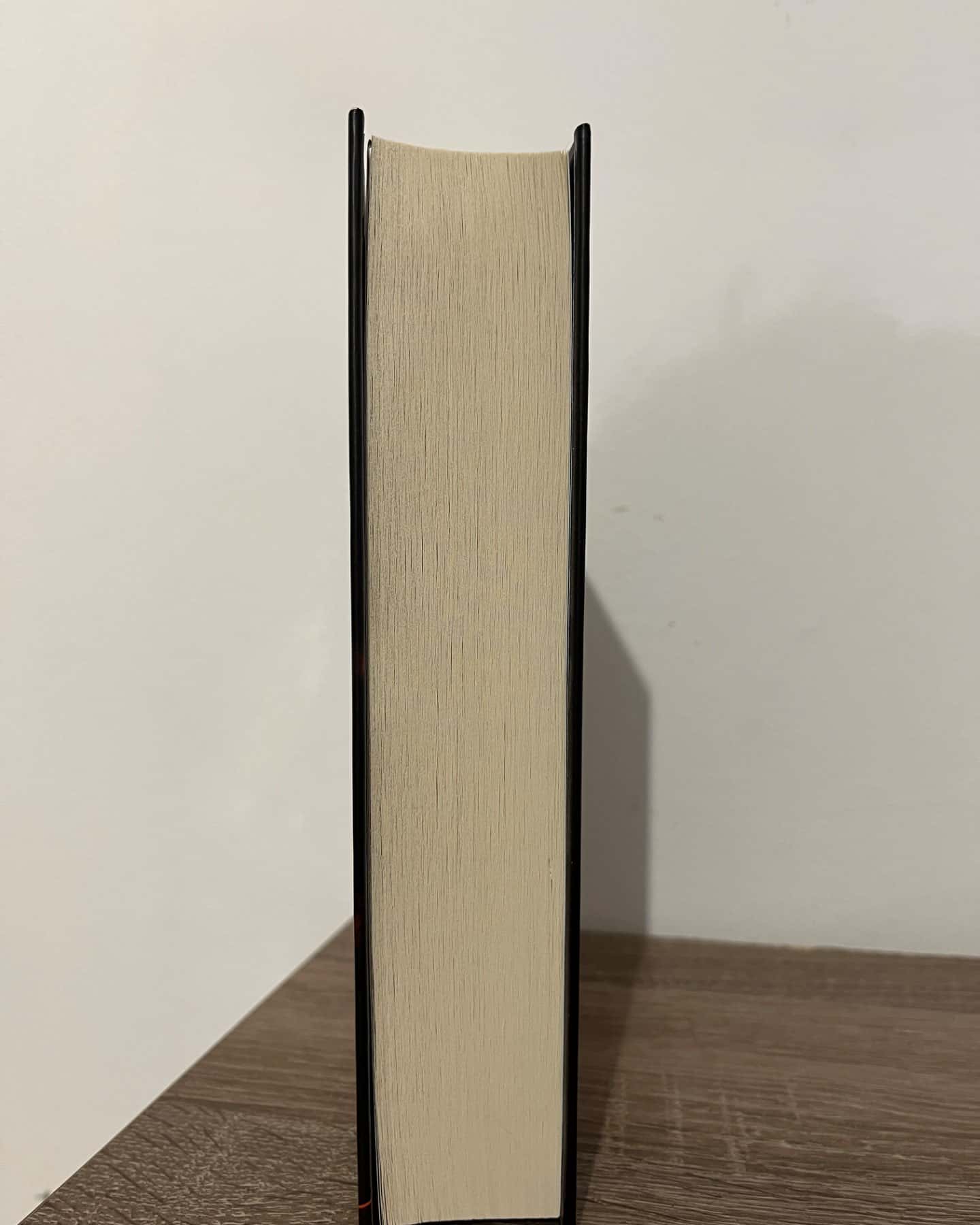 Голлі-Стівен Кінг