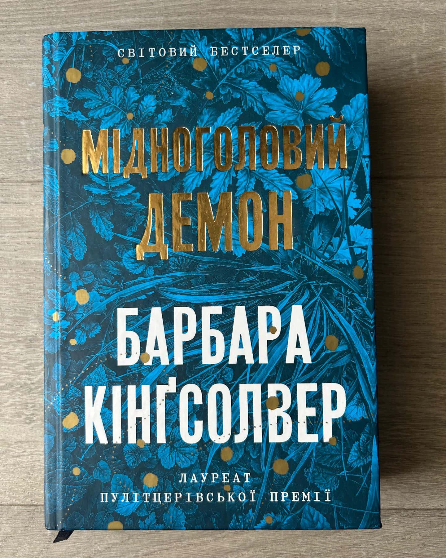 Мідноголовий демон (Limited edition) — Барбара Кінґсолвер