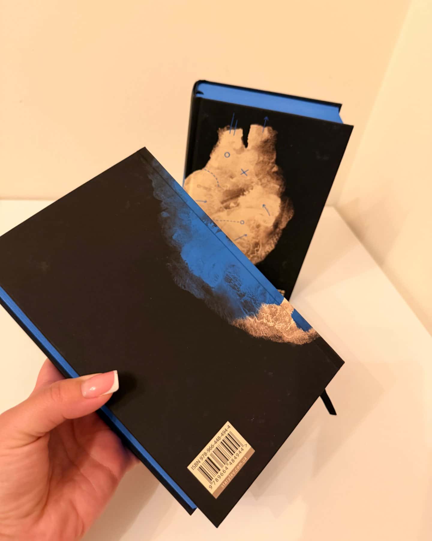 Книга Еміля-Ілларіон Павлюк