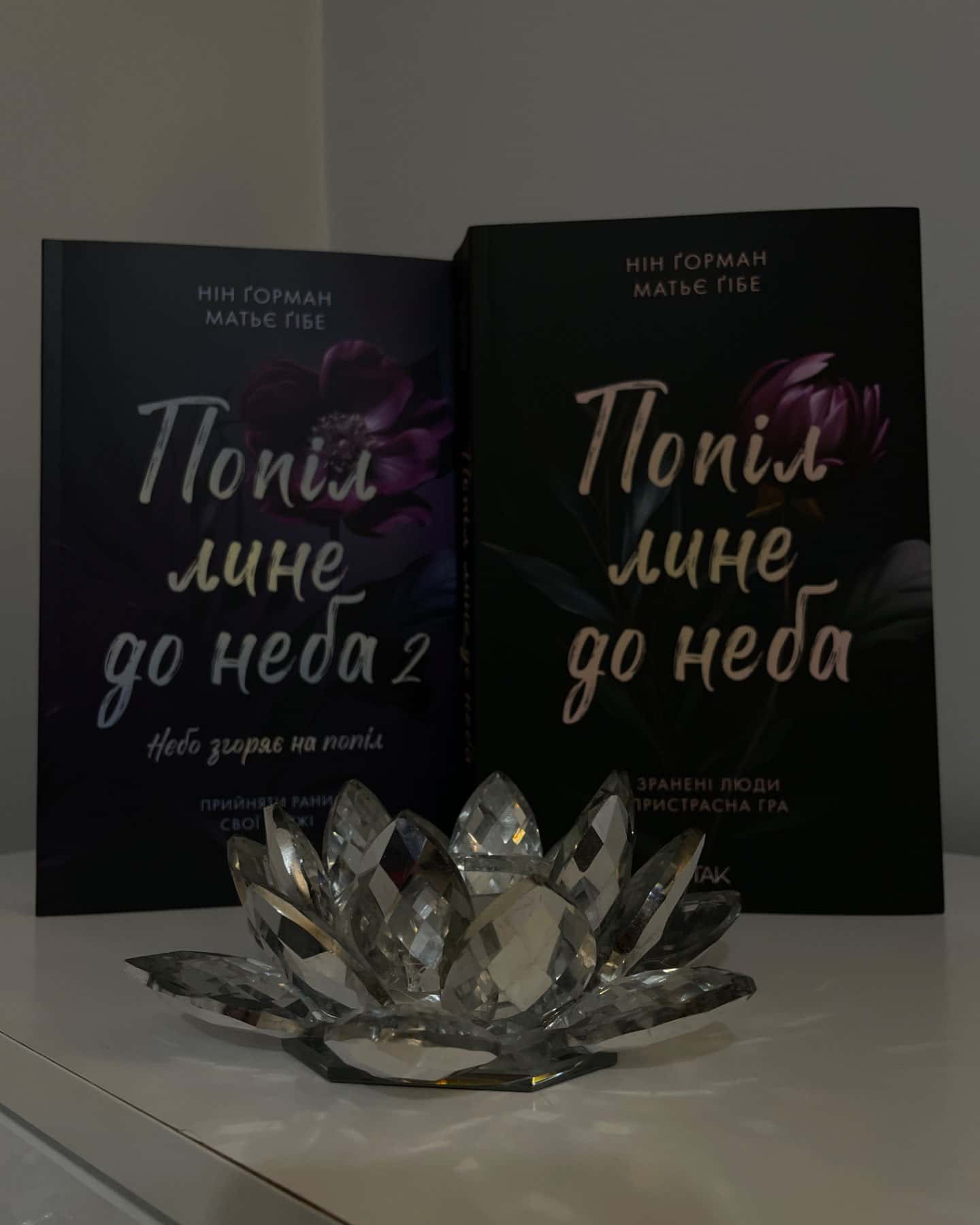 Попіл лине до неба. Том 1, Попіл лине до неба. Том 2-Матьє Ґібе, Нін Ґорман