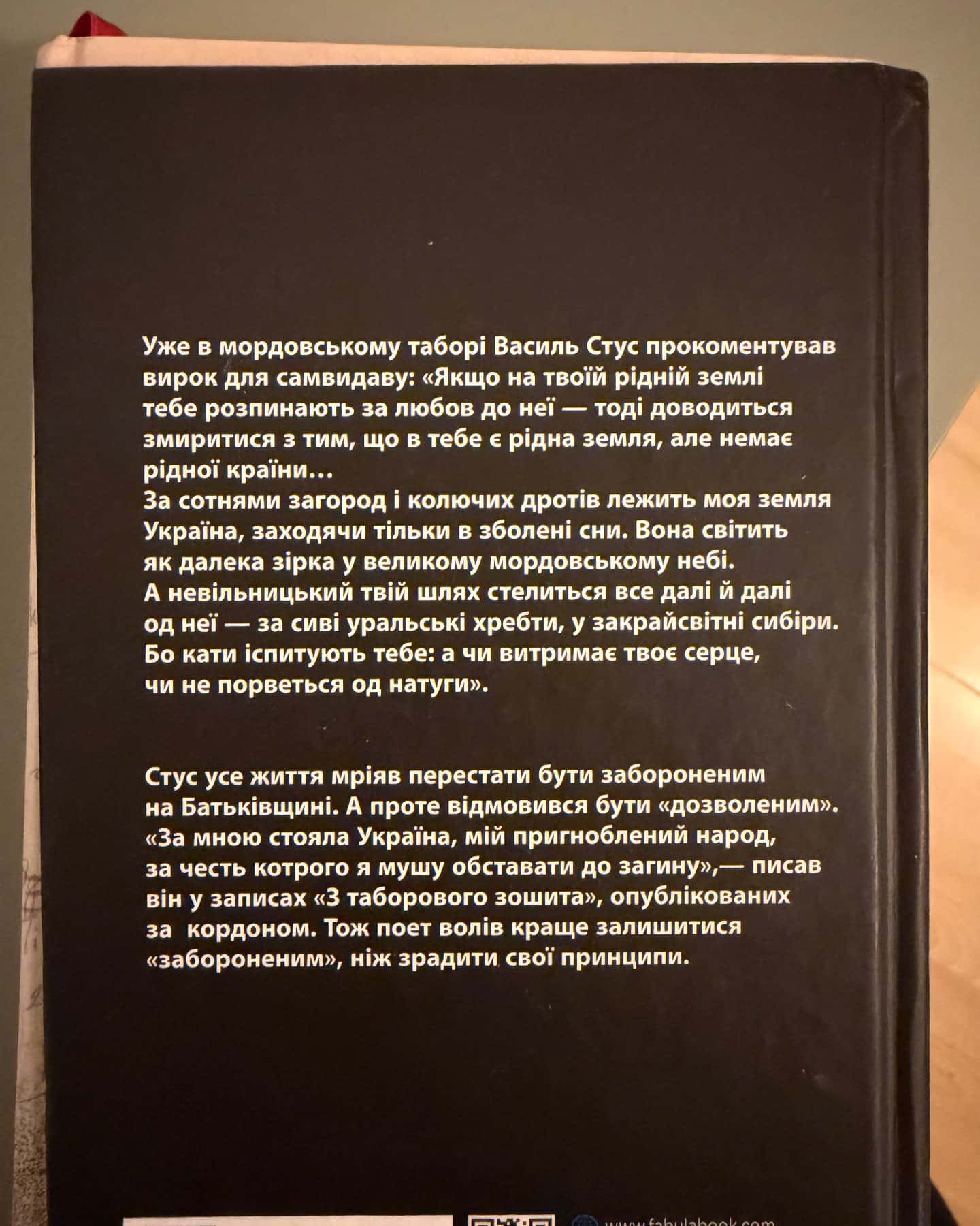 Заборонений. Історія життя і боротьби Василя Стуса-Сергій Дзюба, Артемій Кірсанов