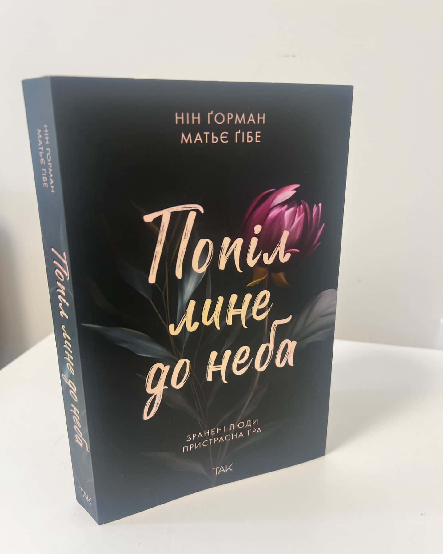 Попіл лине до неба. Том 1, Попіл лине до неба. Том 2-Матьє Ґібе, Нін Ґорман