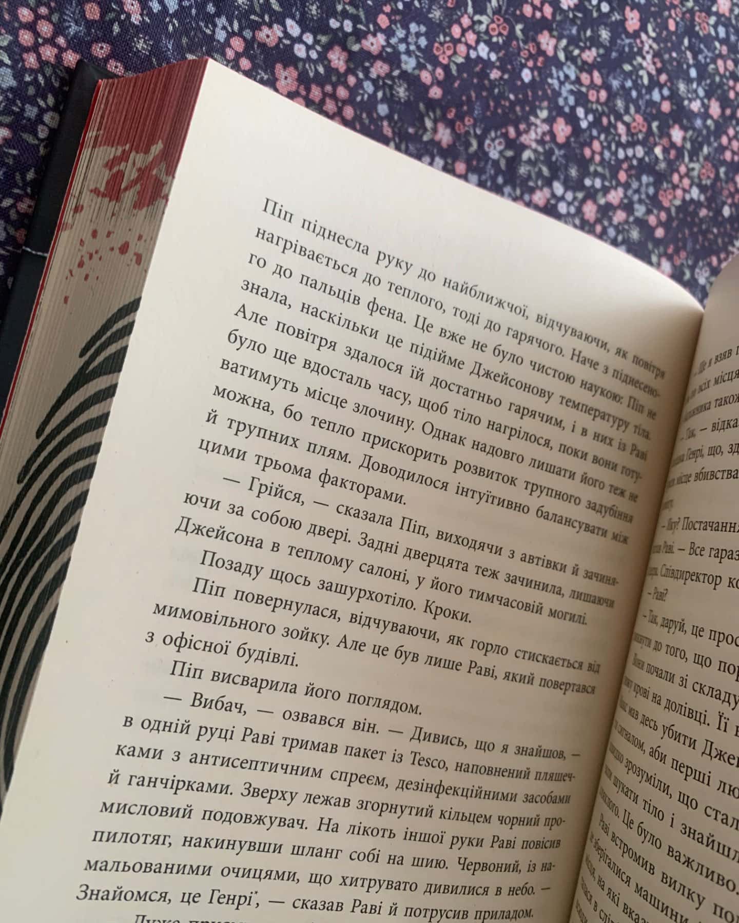 Ні жива, ні мертва-Голлі Джексон