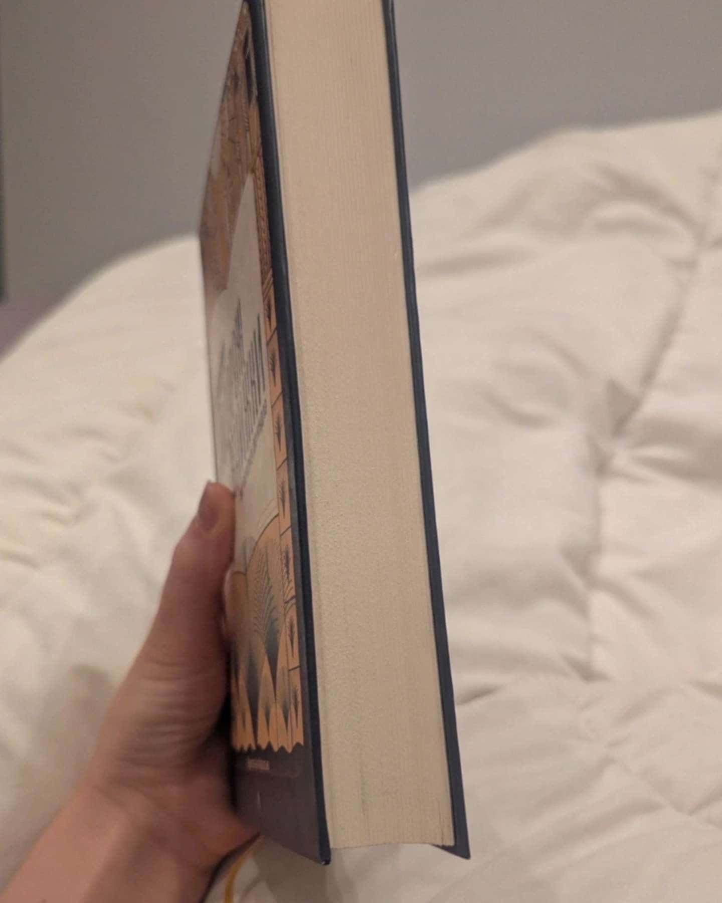 Подорож книжки. Від папірусу до кіндл-Ірене Вальєхо