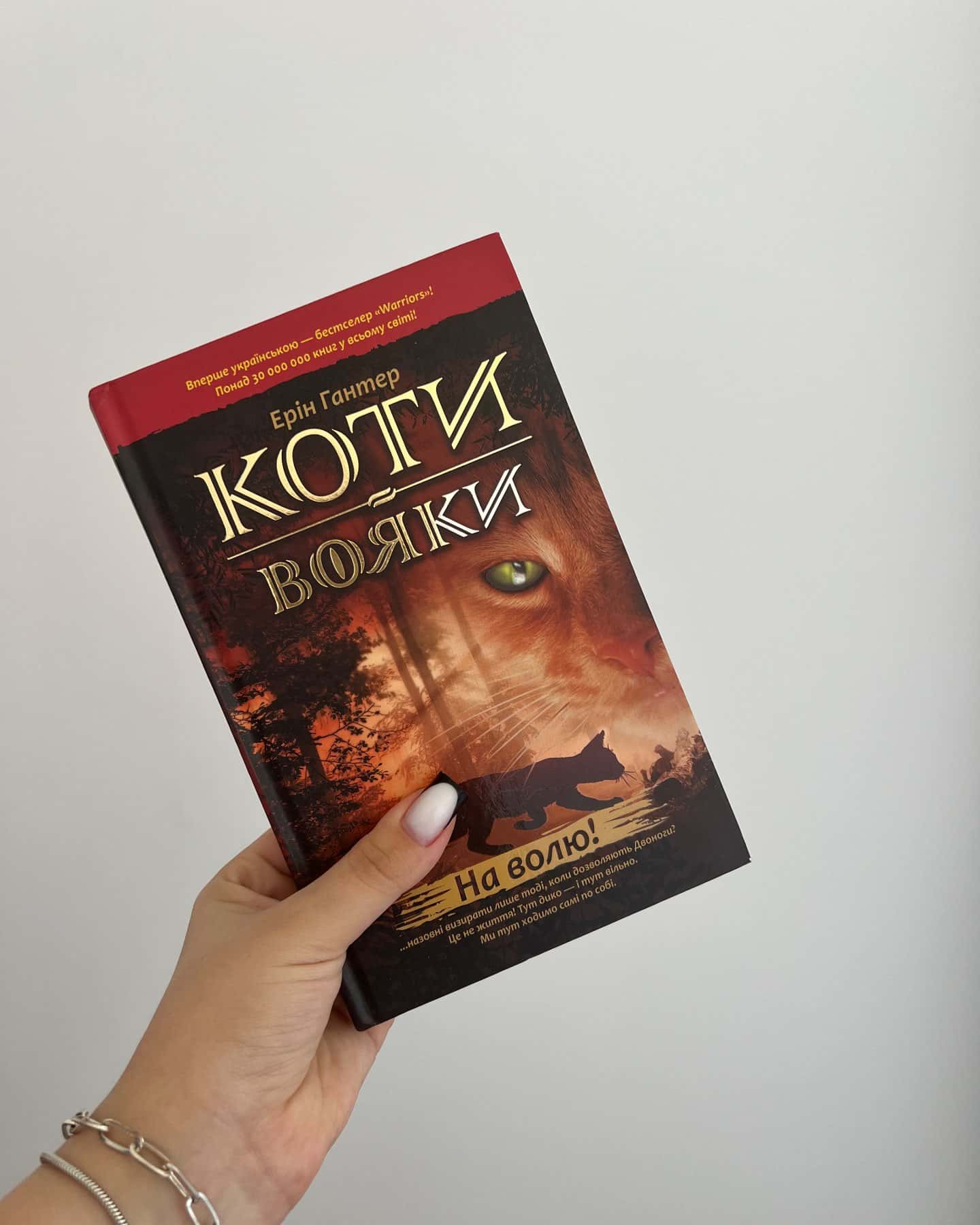 Коти-вояки. Нове пророцтво. Північ. Книга 1 — Ерін Гантер