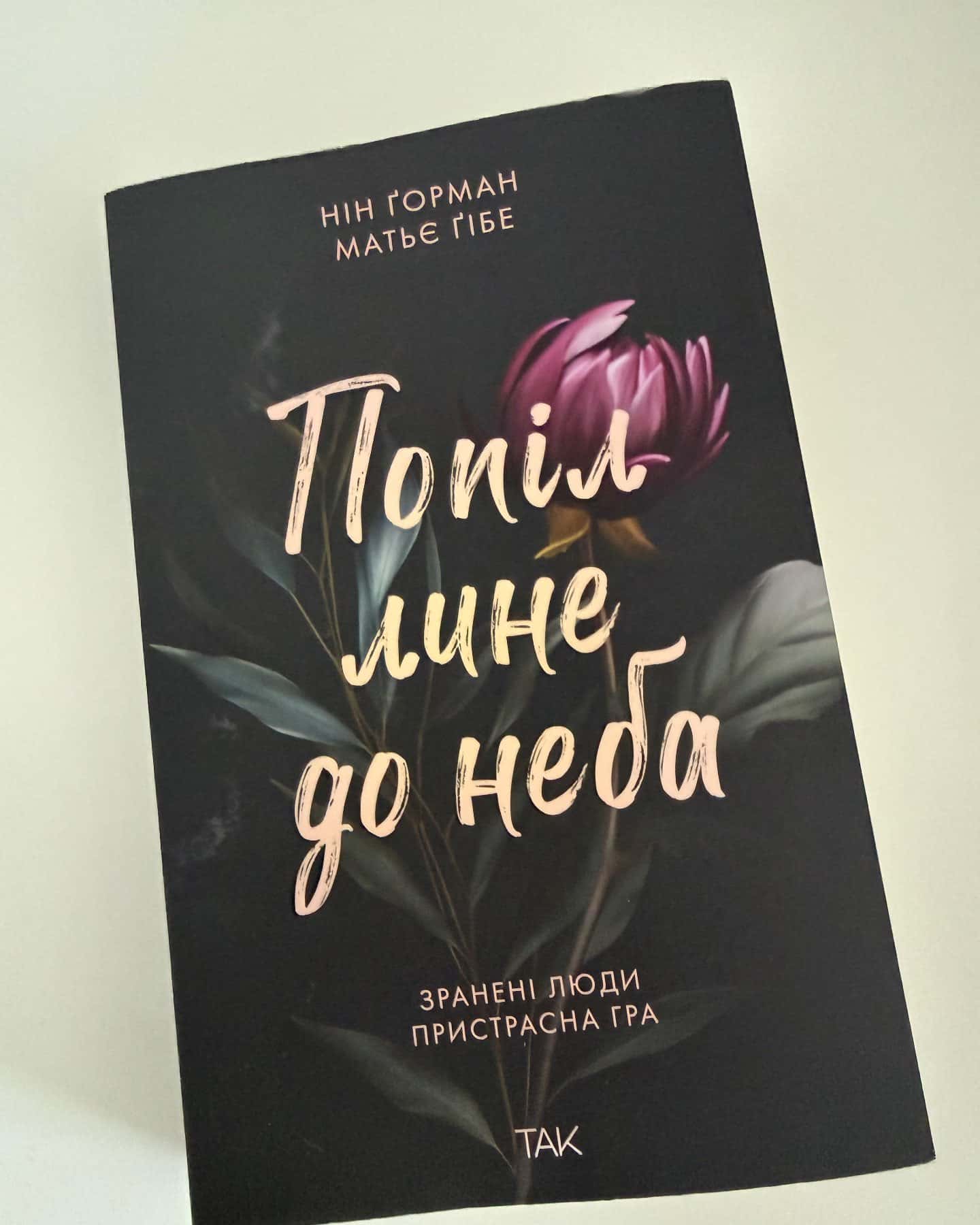 Попіл лине до неба. Том 1 — Матьє Ґібе, Нін Ґорман