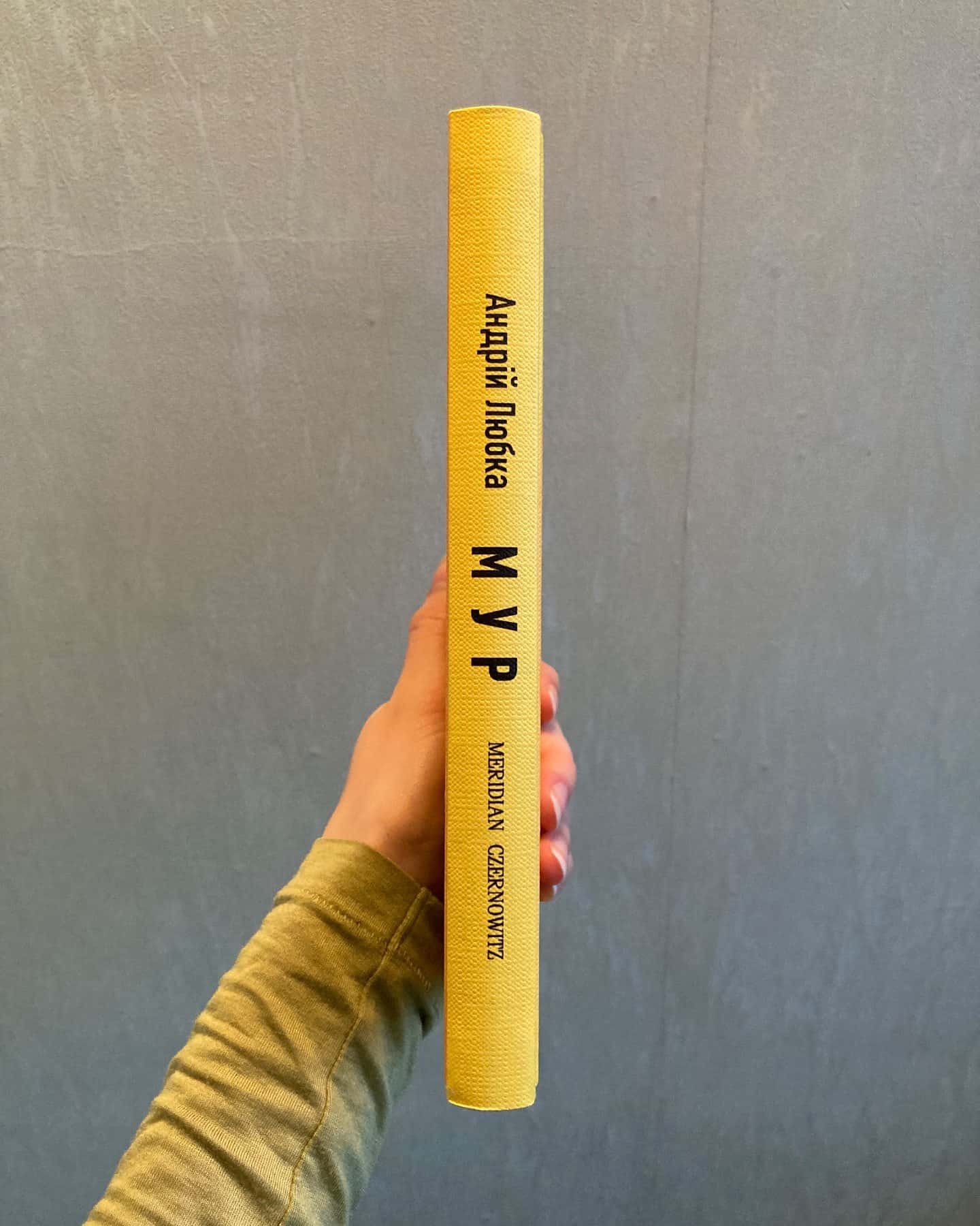 Малий український роман-Андрій Любка