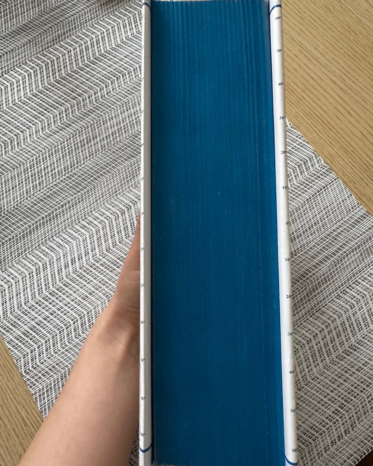 Книга Еміля-Ілларіон Павлюк