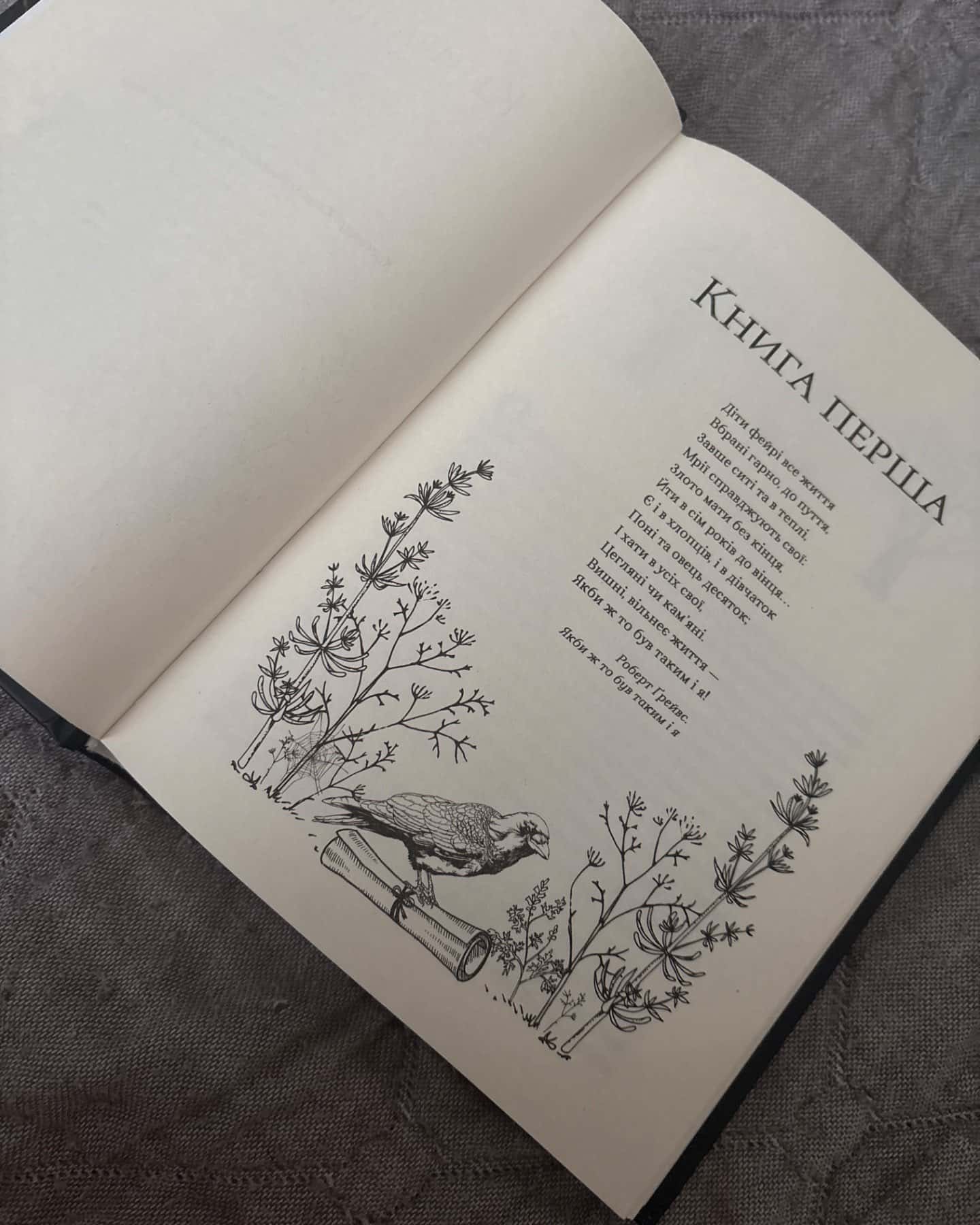 Книга Жорстокий принц-Голлі Блек