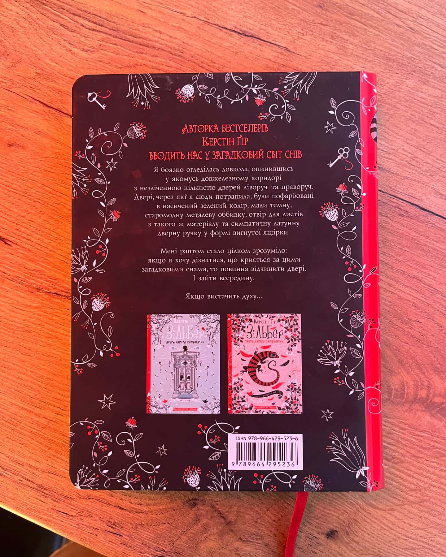 Зільбер. Перша книга сновидінь-Керстін Гір