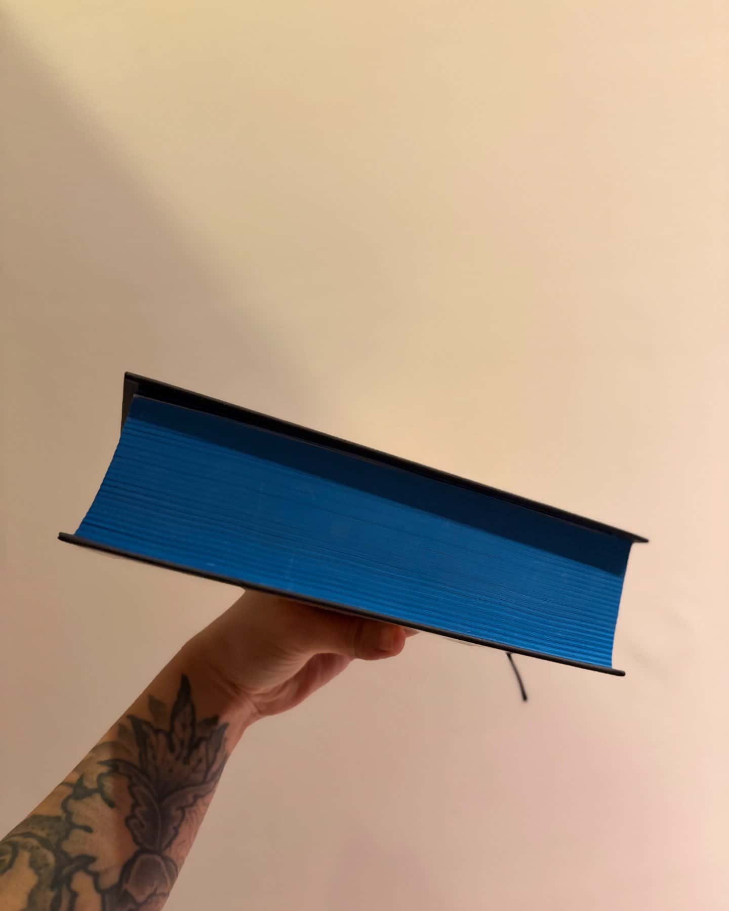 Книга Еміля-Ілларіон Павлюк