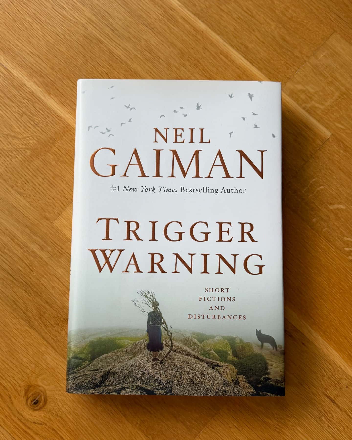 Trigger Warning — Neil Gaiman