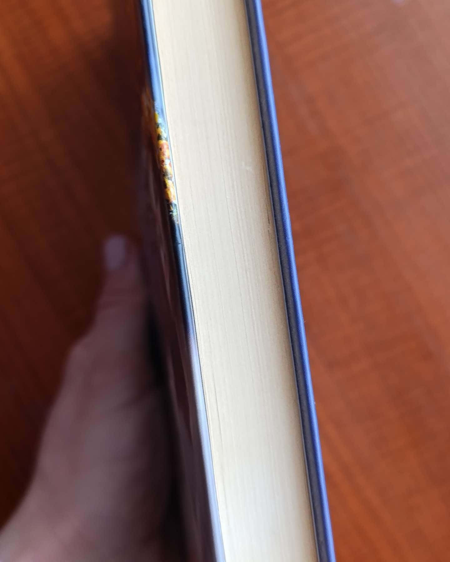 Щоденник Мавки-Дара Корній