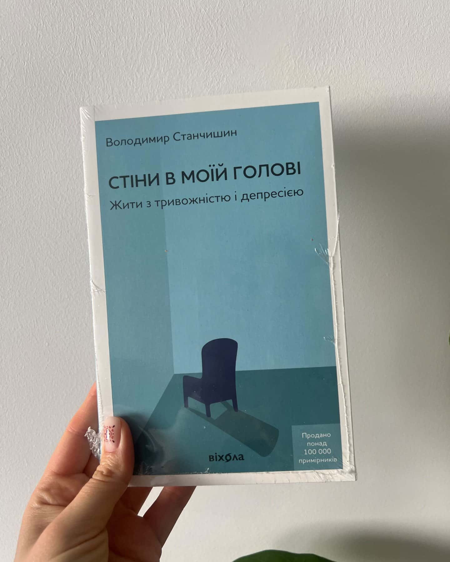Стіни в моїй голові. Жити з тривожністю і депресією-Володимир Станчишин