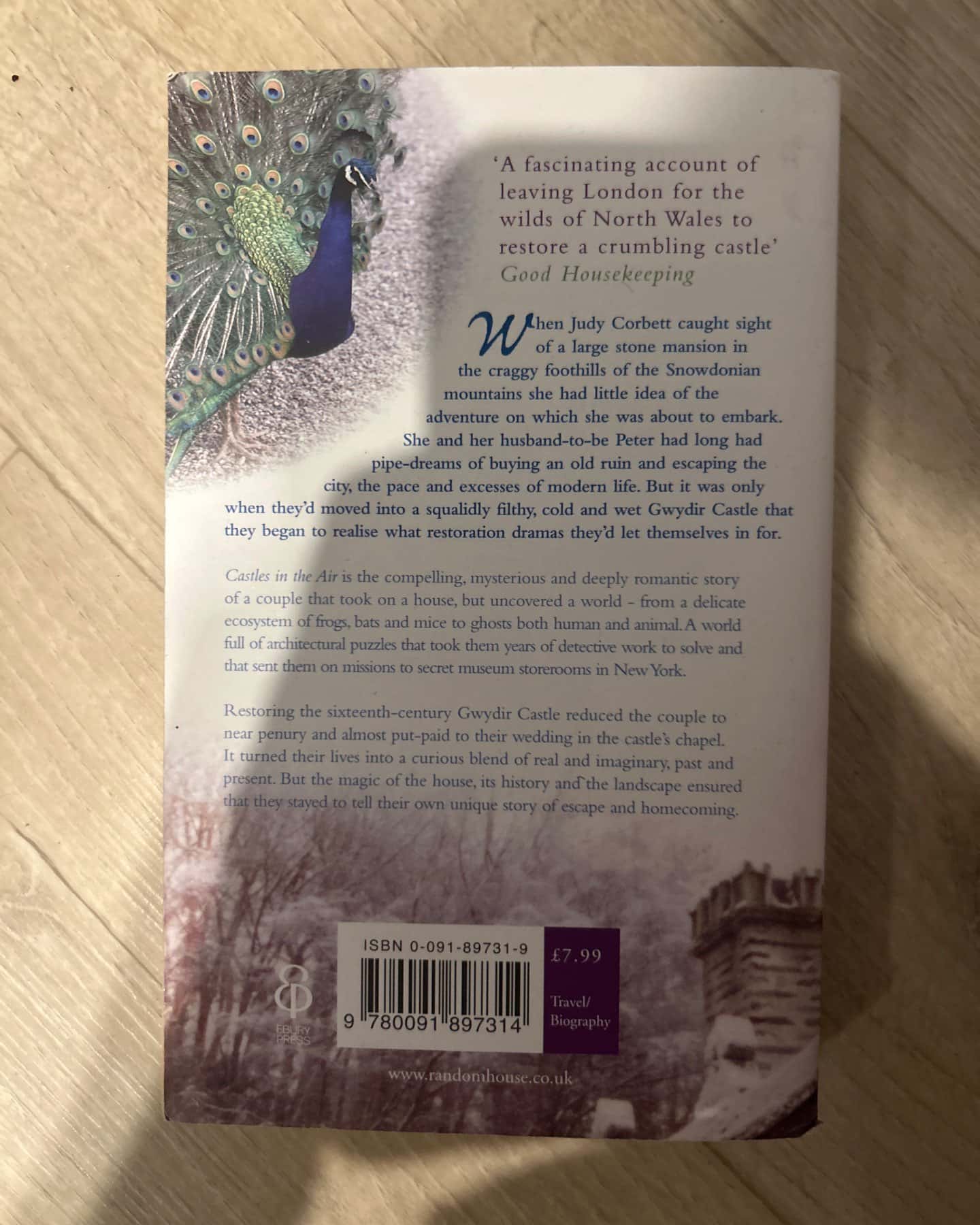 Castles in the air — Judy Corbett