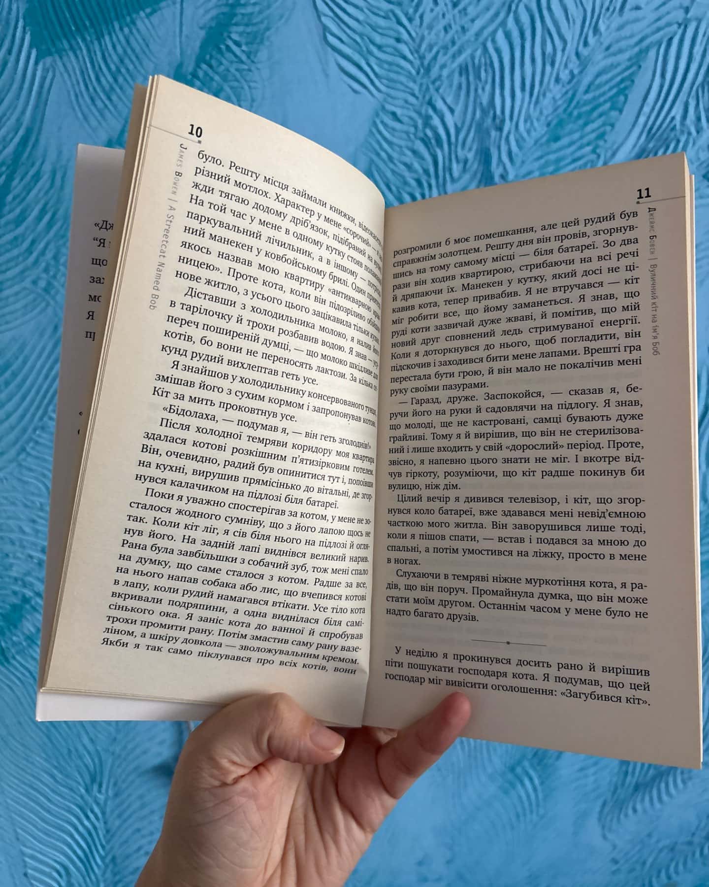 Вуличний кіт на імʼя боб-Джеймс Бовен