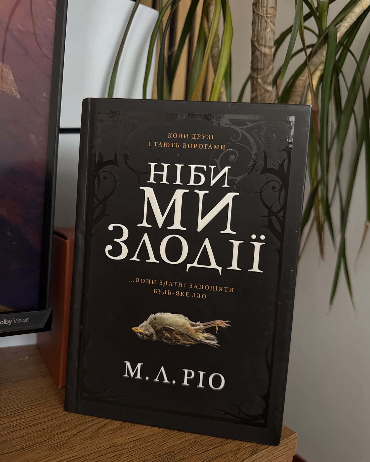 Ніби ми злодії — М. Л. Ріо