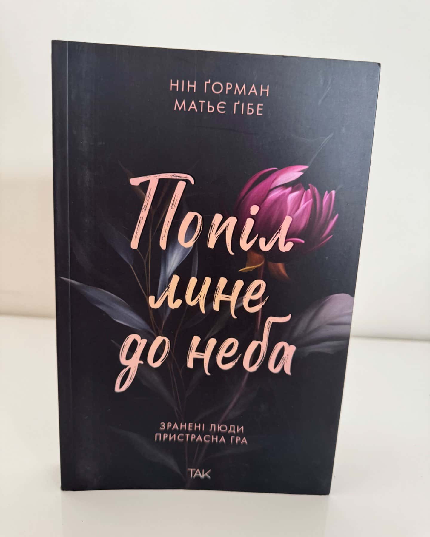 Попіл лине до неба. Том 1-Матьє Ґібе, Нін Ґорман