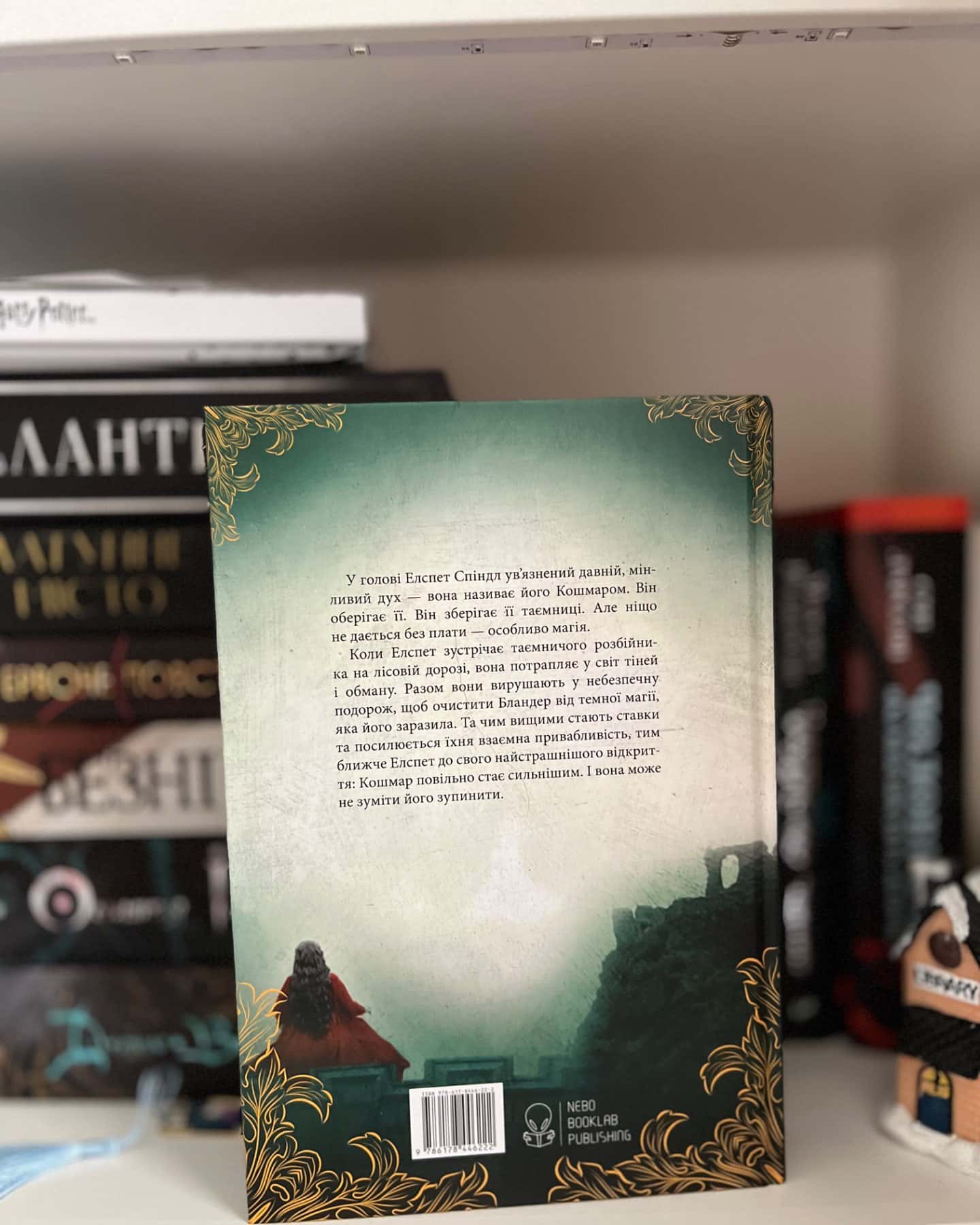 Одне темне вікно. Книга 1-Рейчел Ґілліґ