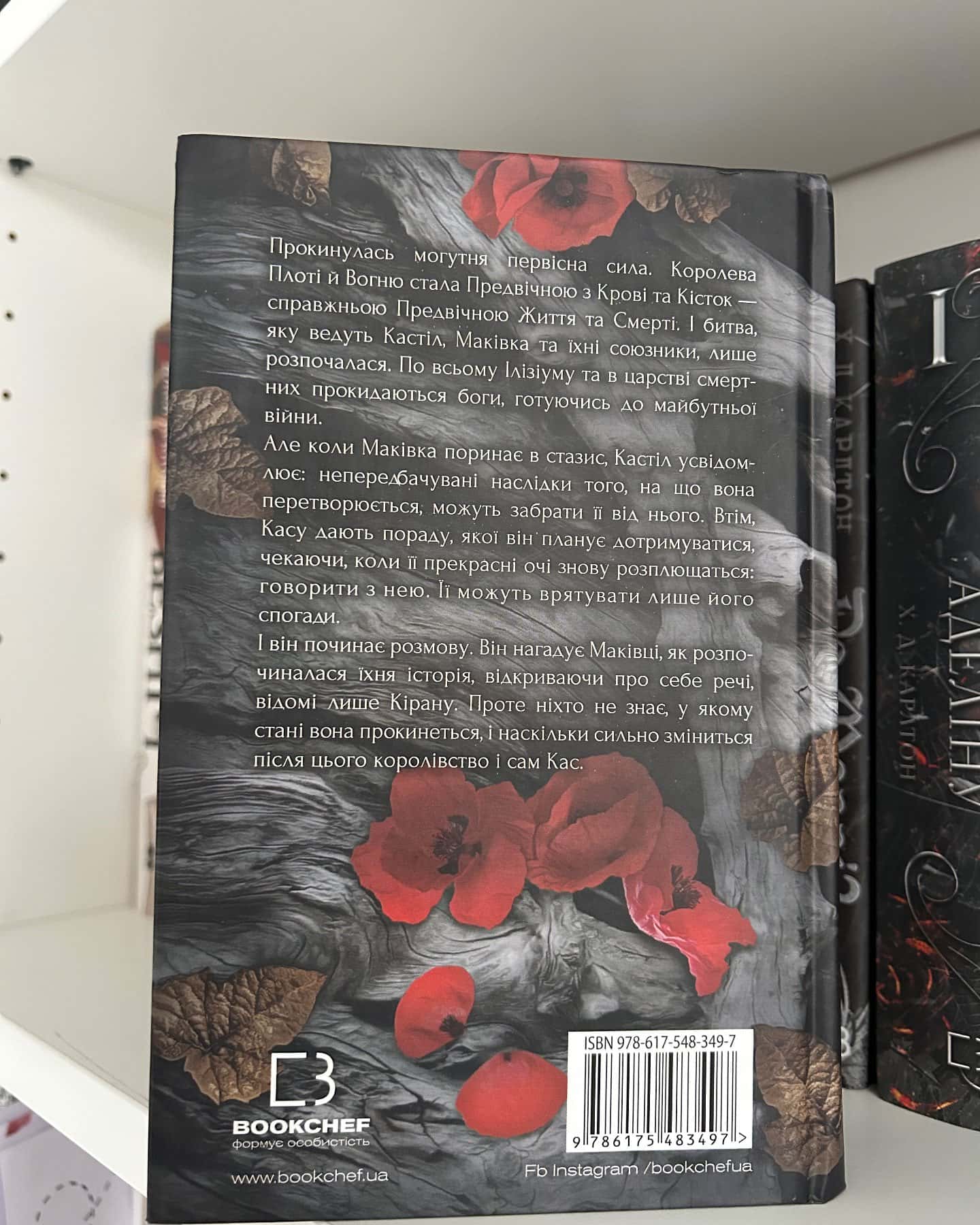 Кров і попіл. Книга 5. Душа з попелу та крові-Дженніфер Л. Арментраут