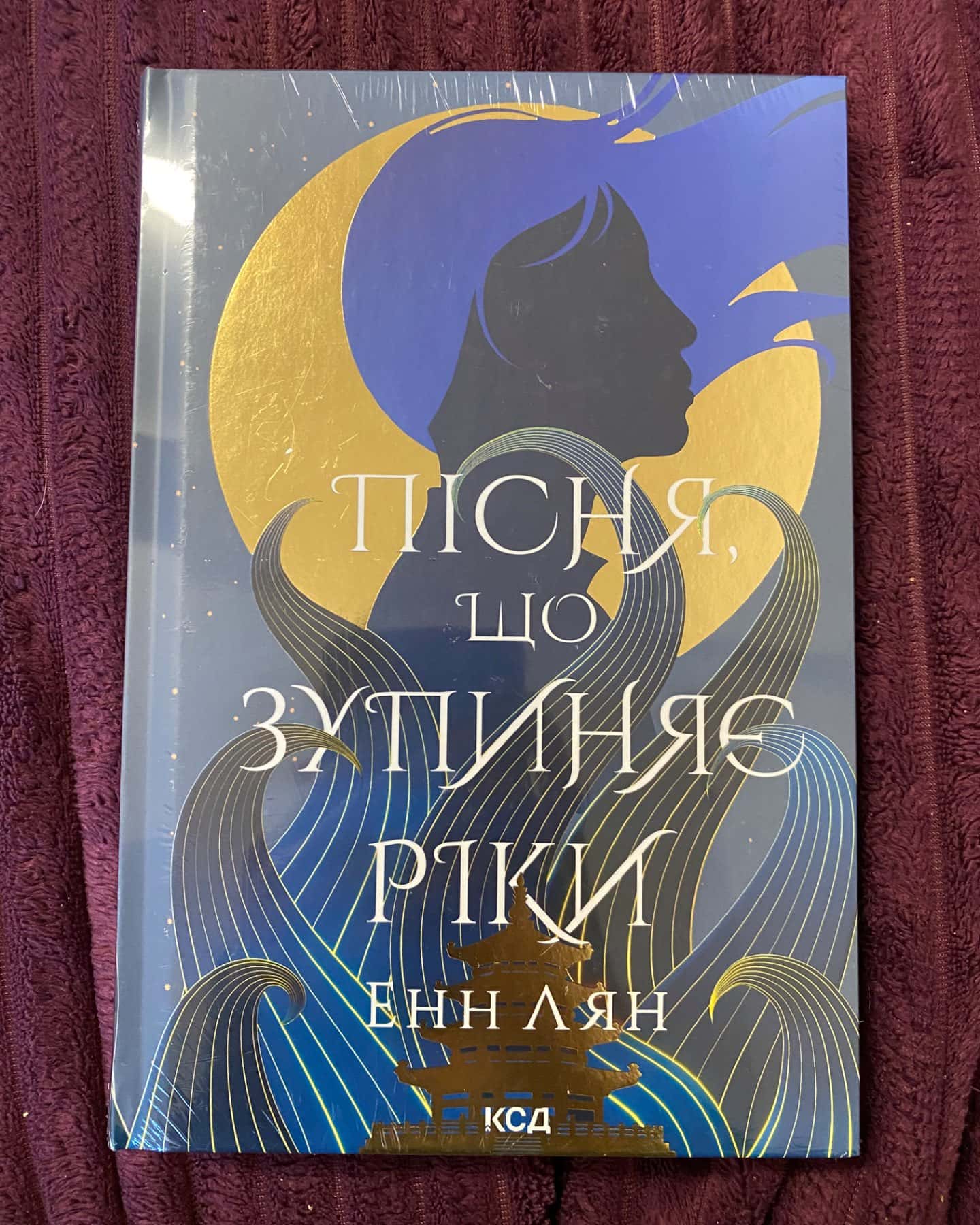 Пісня, що зупиняє ріки-Енн Лян