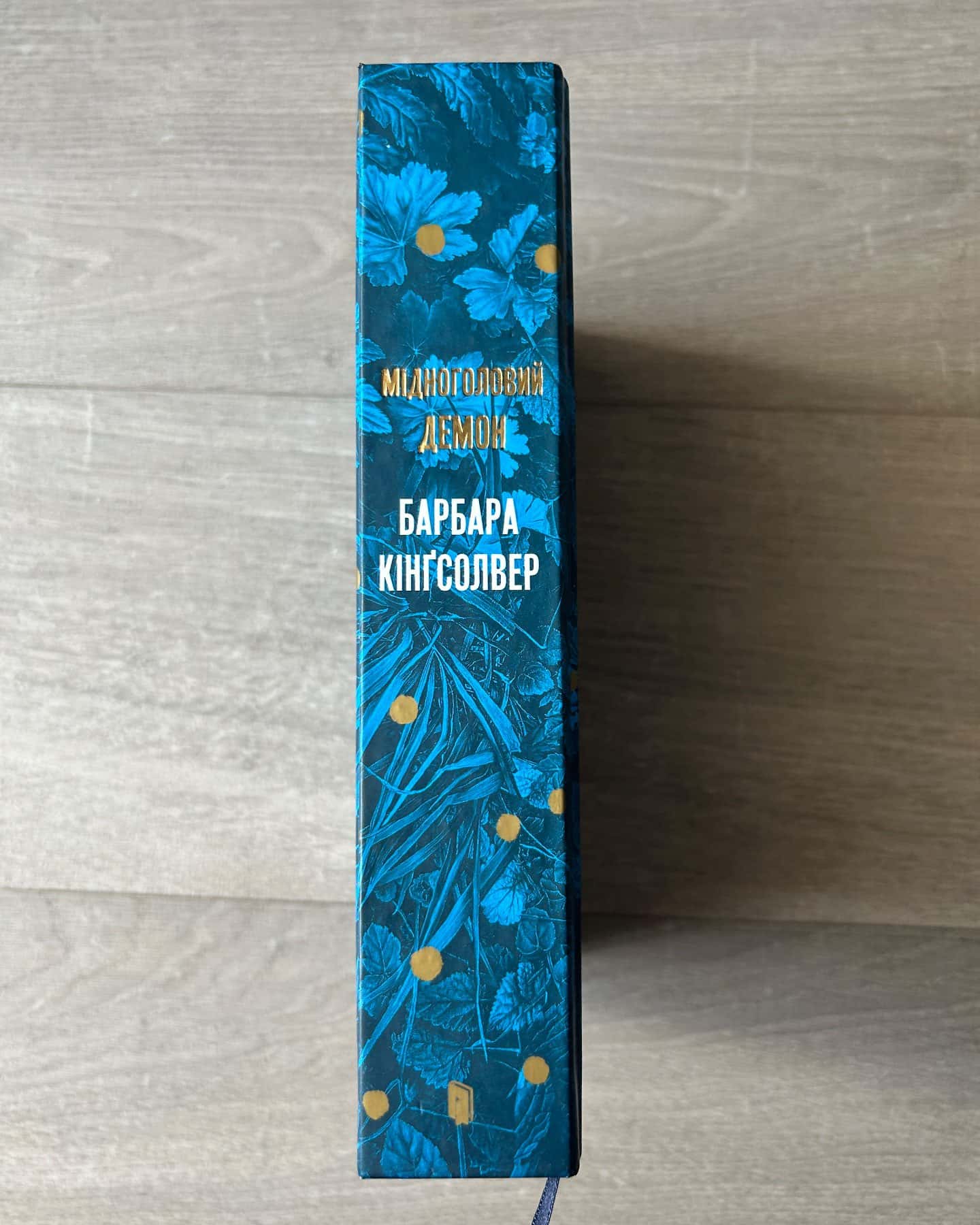 Мідноголовий демон (Limited edition) — Барбара Кінґсолвер