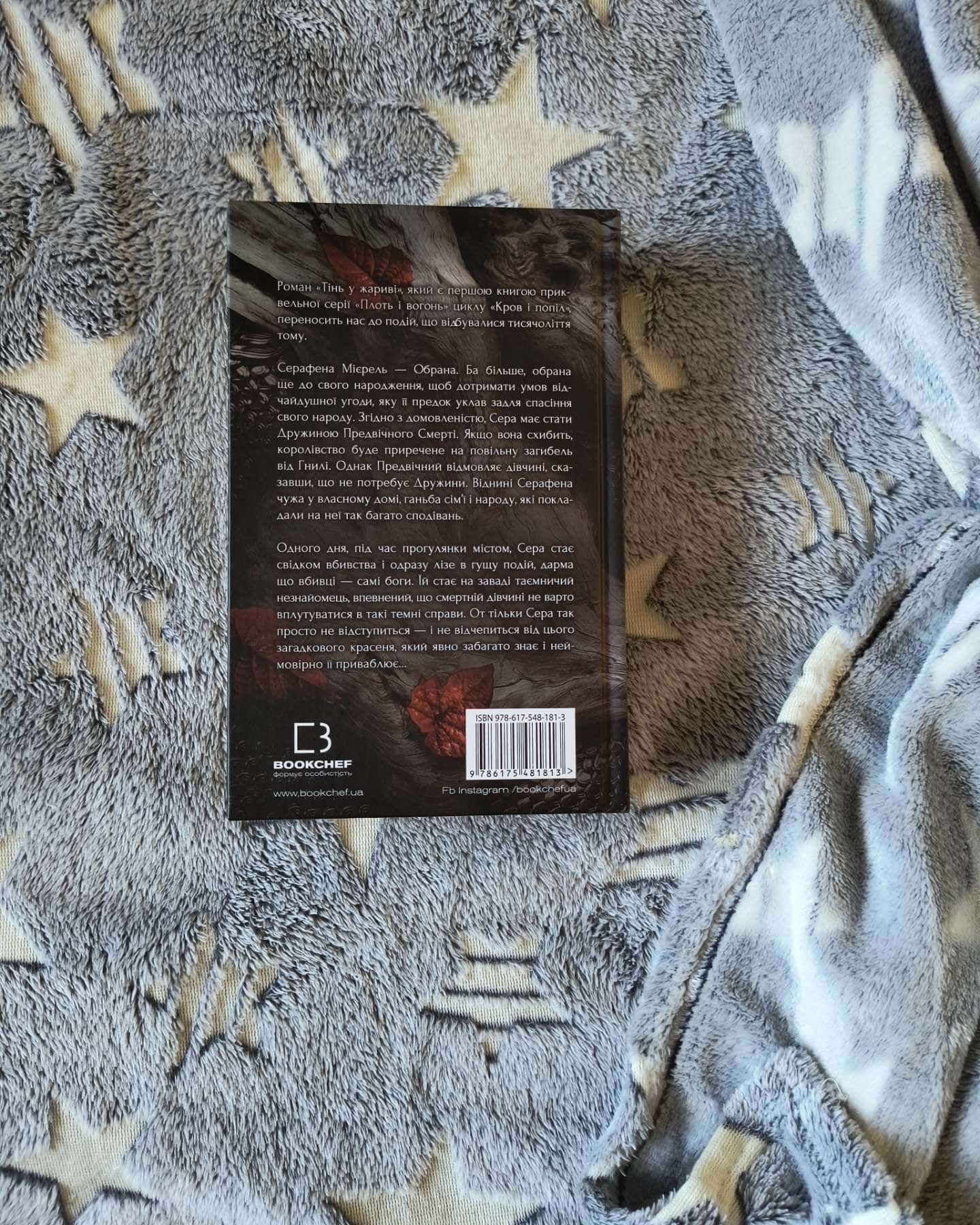 Тінь у жариві. Плоть і вогонь. Книга 1-Дженніфер Л. Арментраут