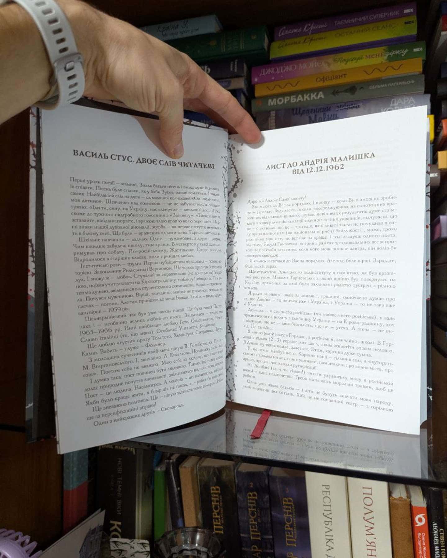Мені здалося - я живу завжди. Вибрані твори-Василь Стус