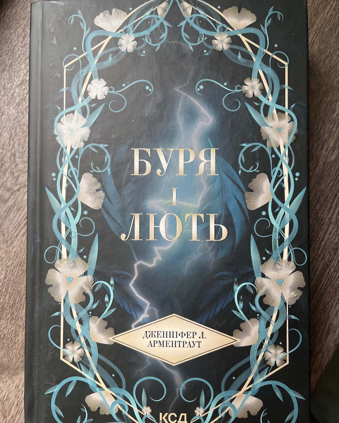 Буря і лють. Книга 1 — Дженніфер Л. Арментраут