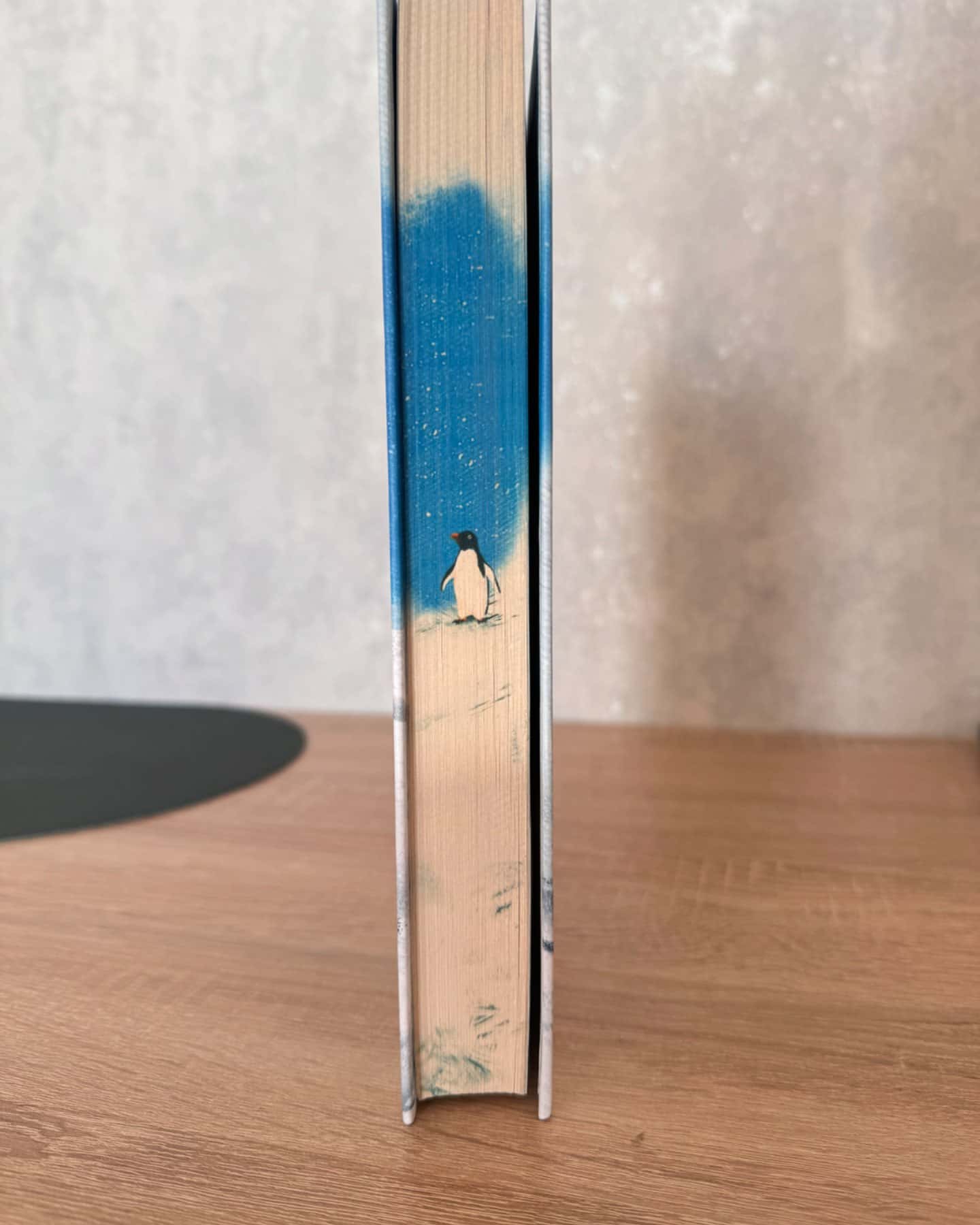 Туди, де пінгвіни-Гейзел Прайор