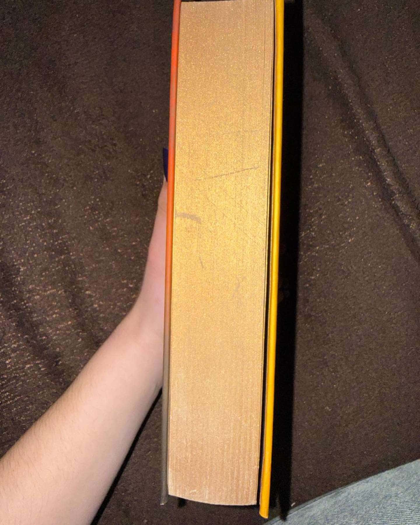 Сім чоловіків Евелін Г'юґо-Тейлор Дженкінс Рід