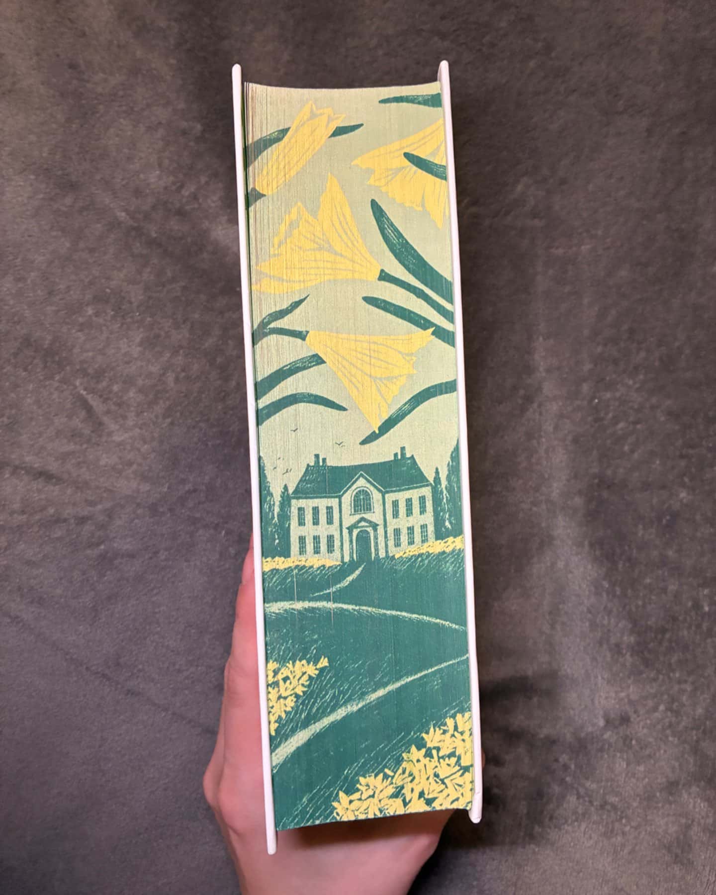 Повернення додому-Розамунда Пілчер