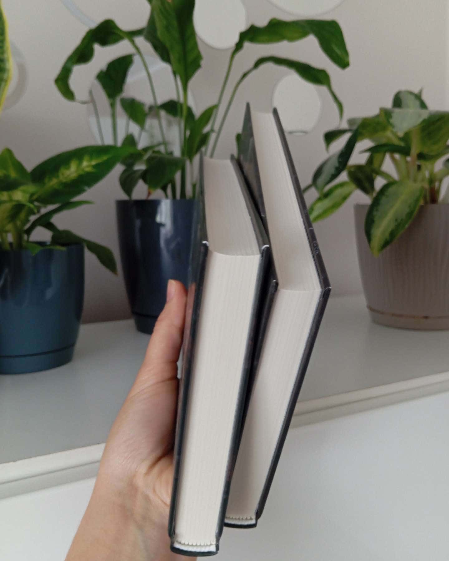 Колись ти будеш моя. Книга 1, Тепер ти моя. Книга 2-Морґан Бріджес