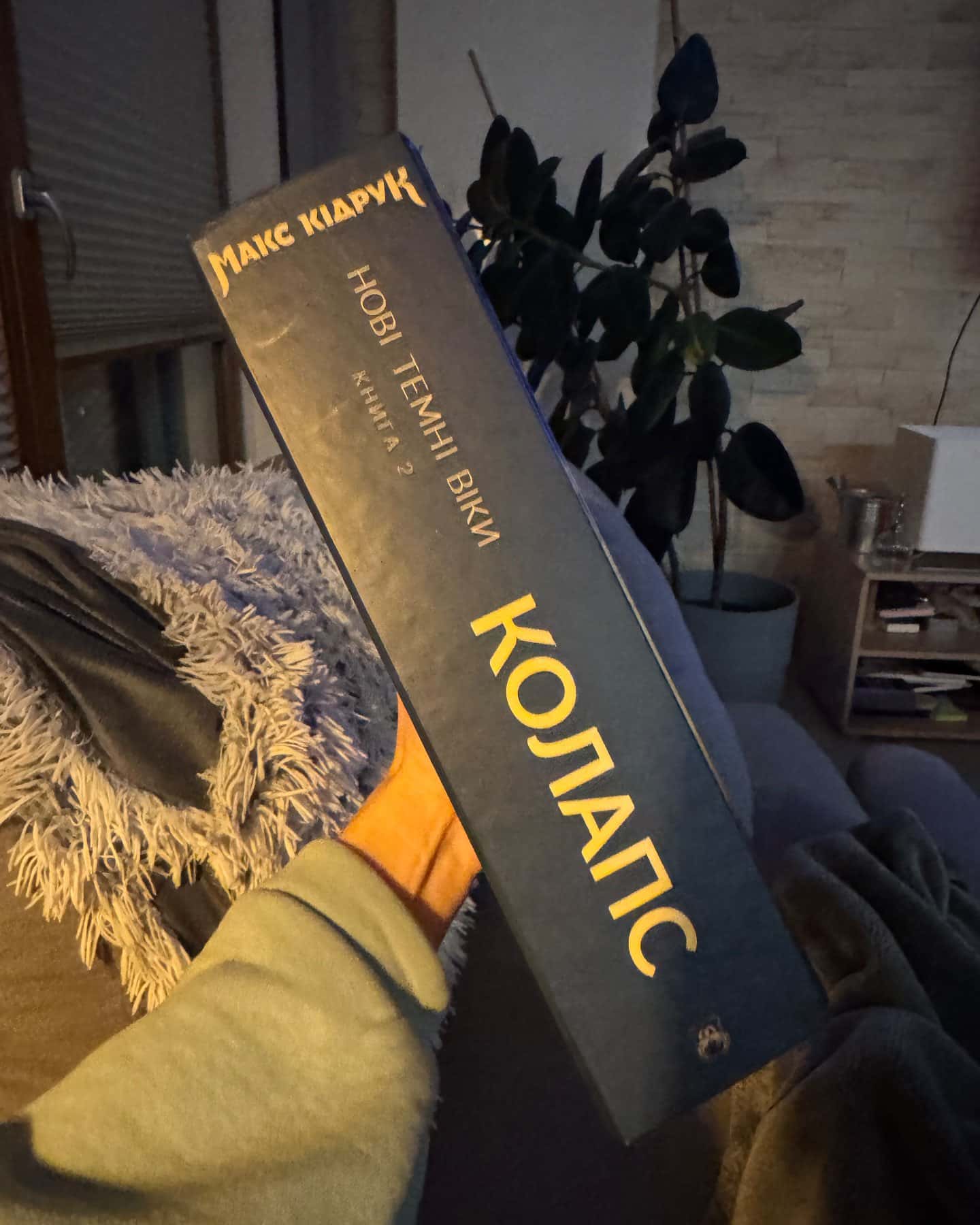 Колапс. Нові Темні Віки. Книга 2 — Макс Кідрук