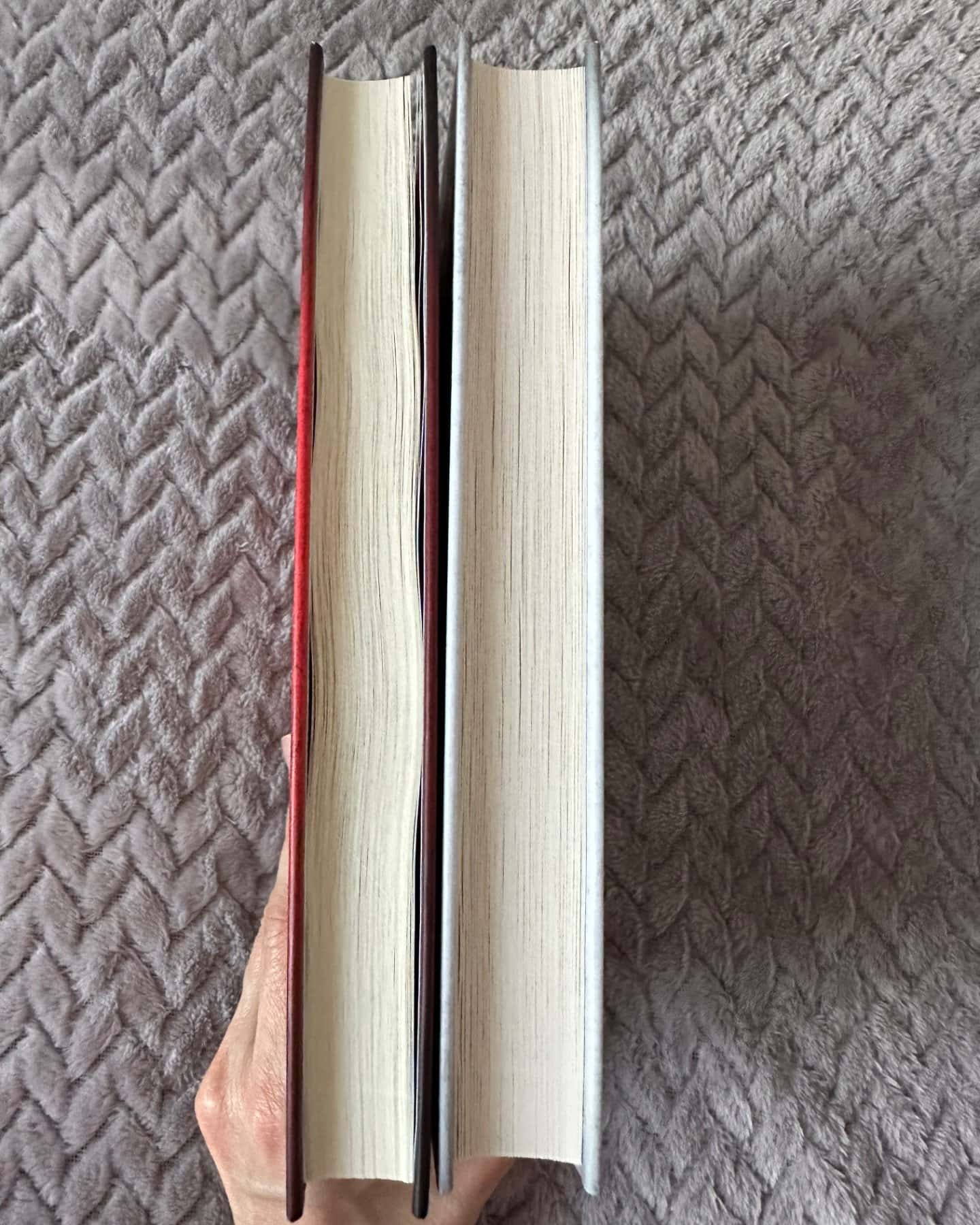 Секрет служниці, Служниця спостерігає-Фріда Мак-Фадден