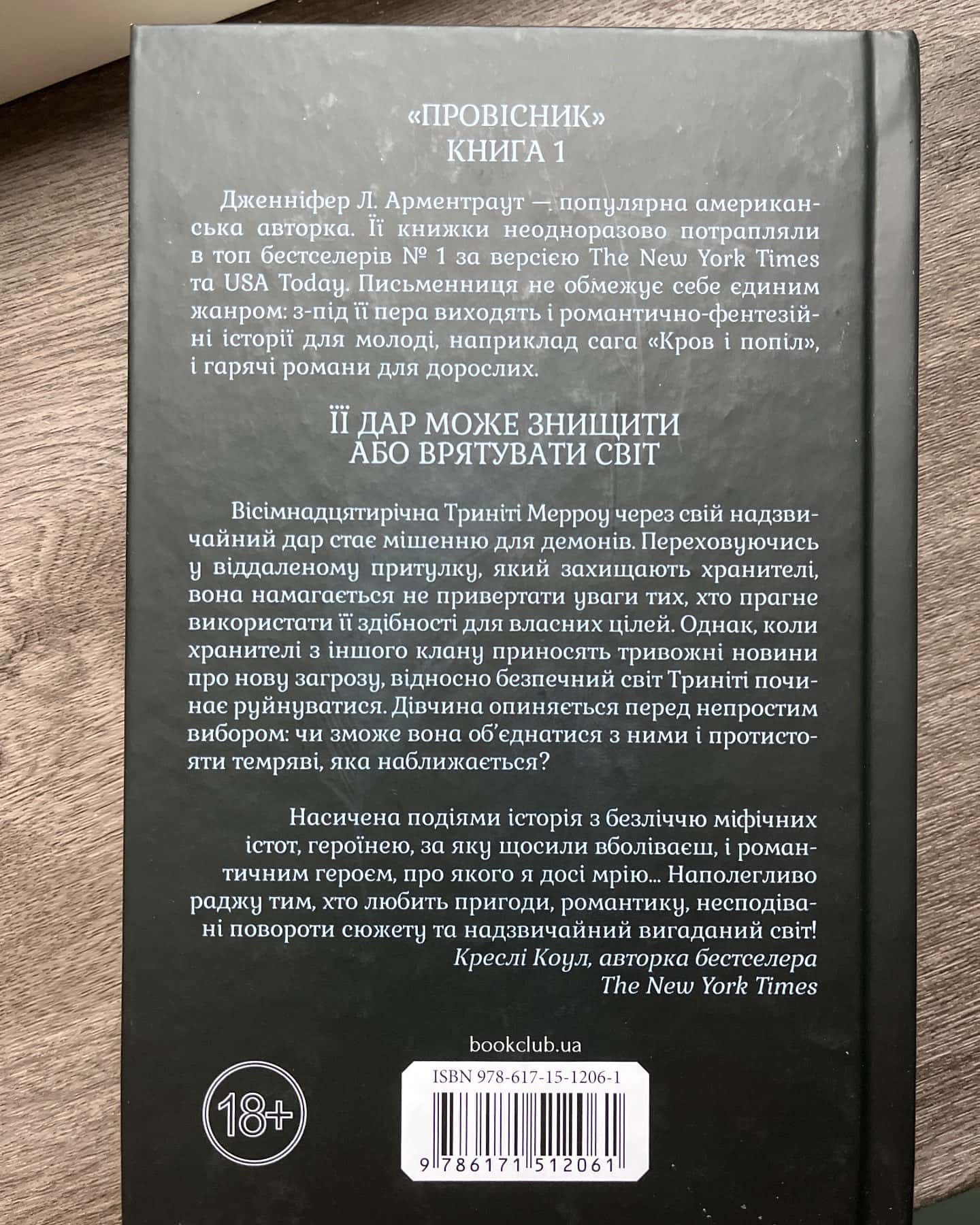 Буря і лють. Книга 1 — Дженніфер Л. Арментраут